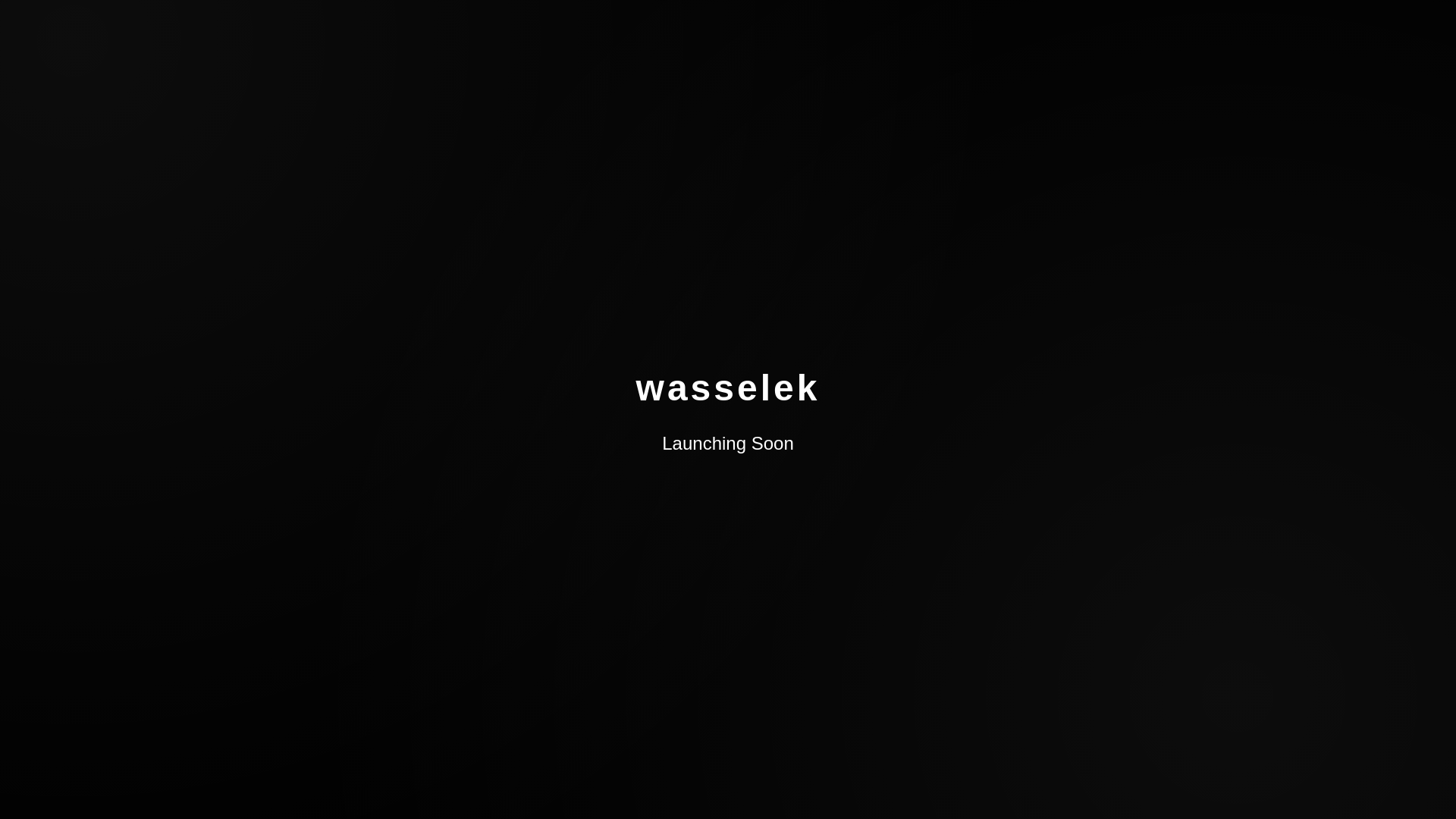 website screenshot of https://wasseleksoon.pages.dev/