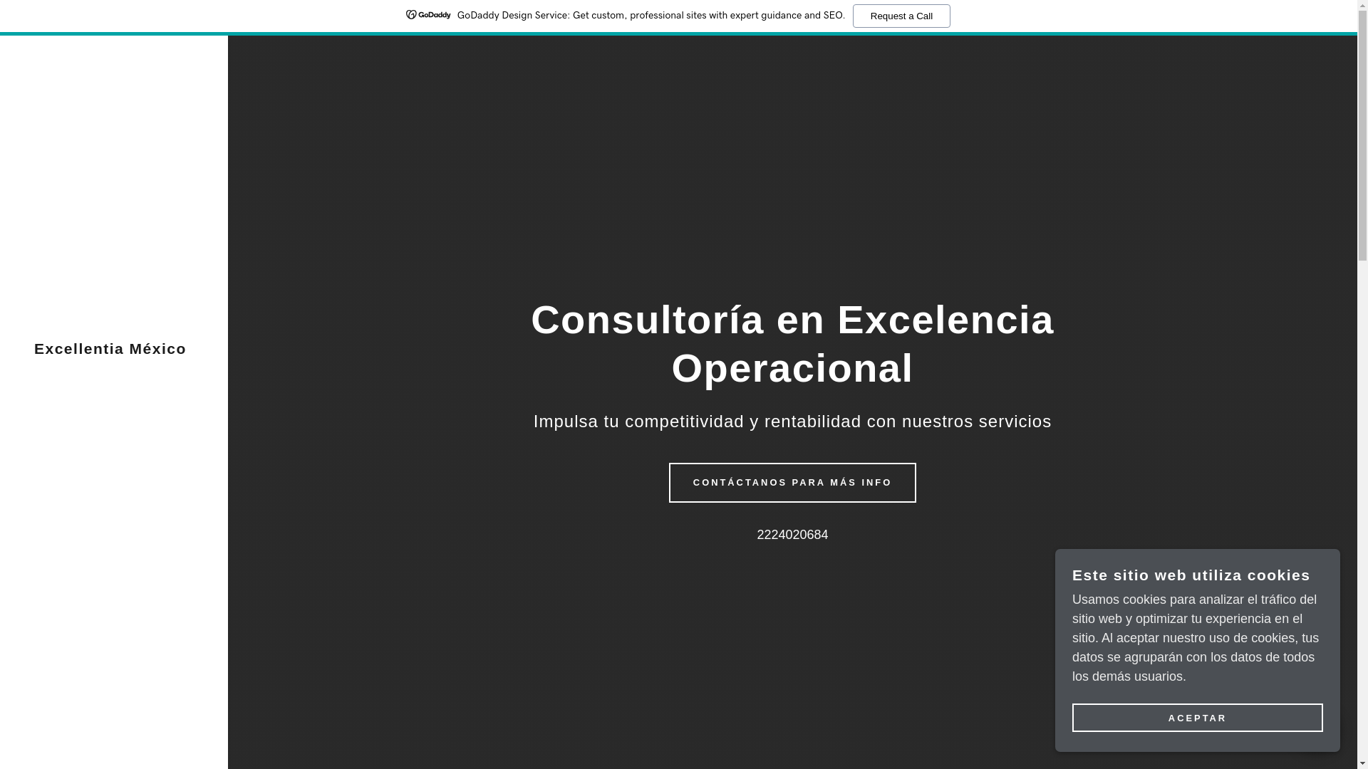 website screenshot of https://excellentiamexico.com/