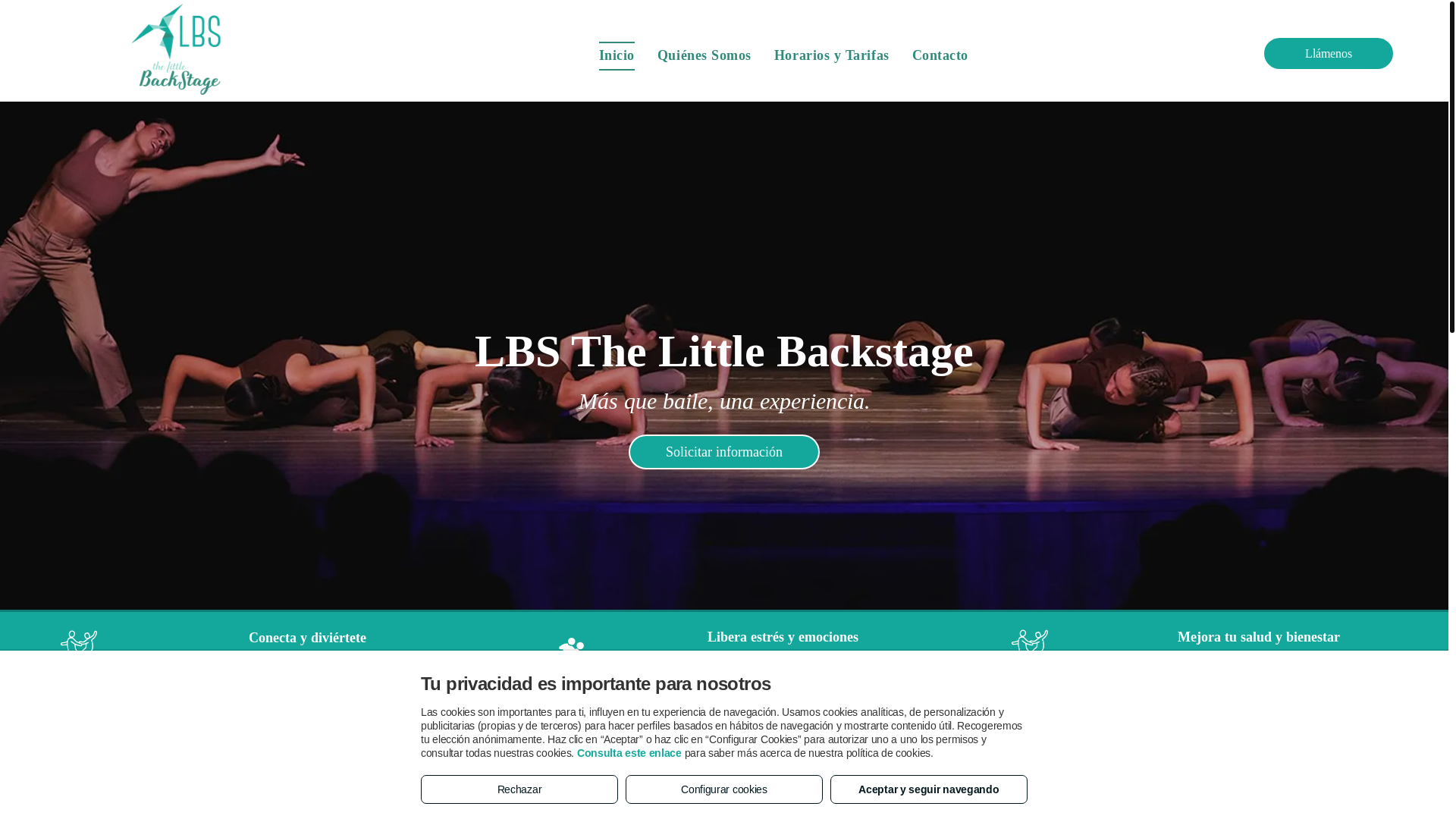 website screenshot of https://danzalbs.es/