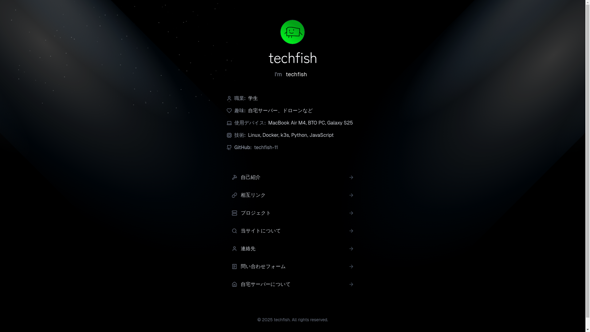 website screenshot of https://techfish.dev/