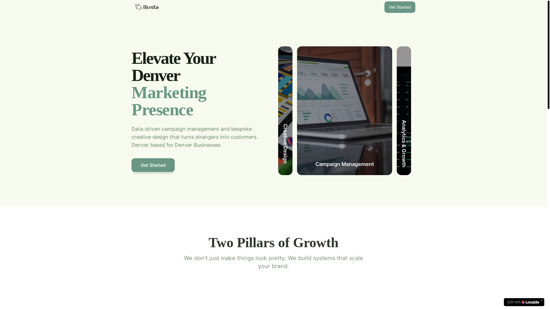 website screenshot of https://brindledenver.com/