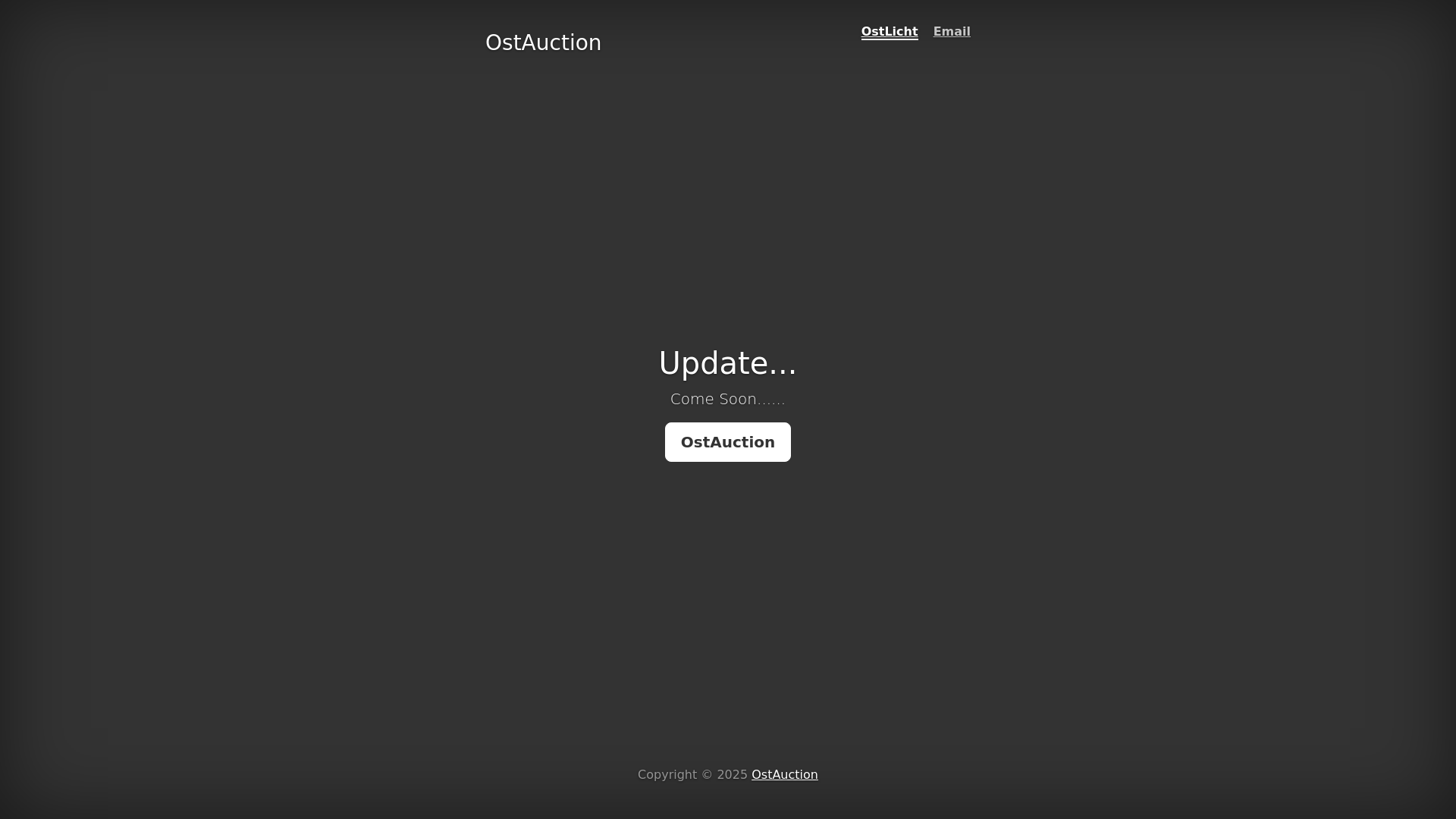 website screenshot of https://ostauction.com/