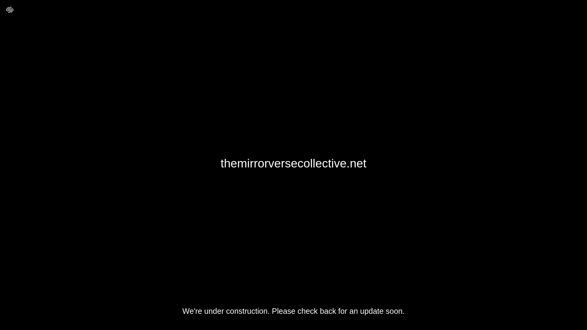 website screenshot of https://themirrorversecollective.net/
