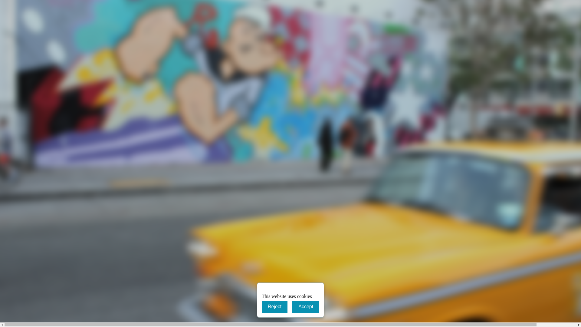 website screenshot of https://rivieramanwithavan.co.uk/