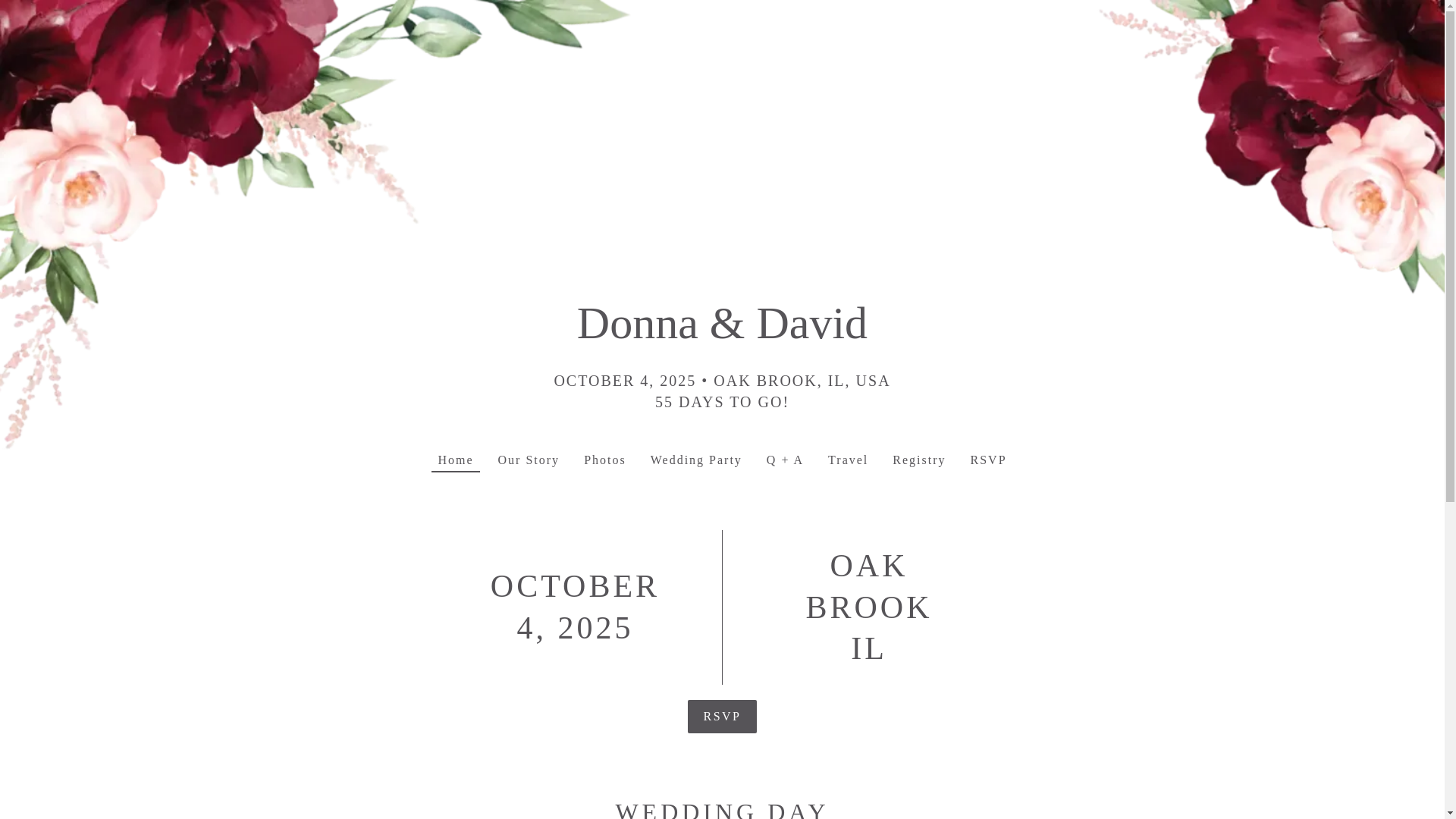 website screenshot of https://donnaanddavid4ever.net/