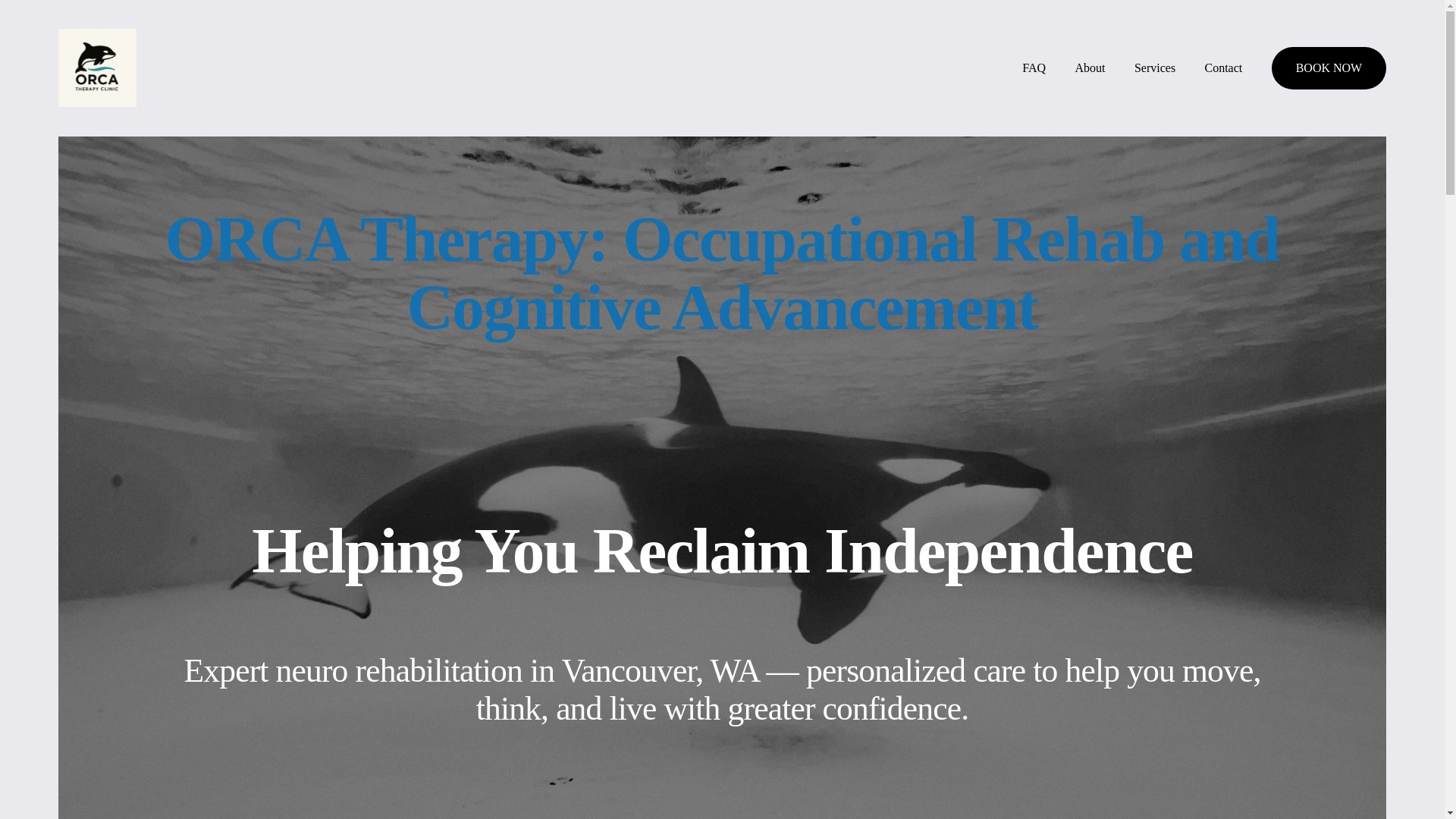 website screenshot of https://orcatherapy.com/