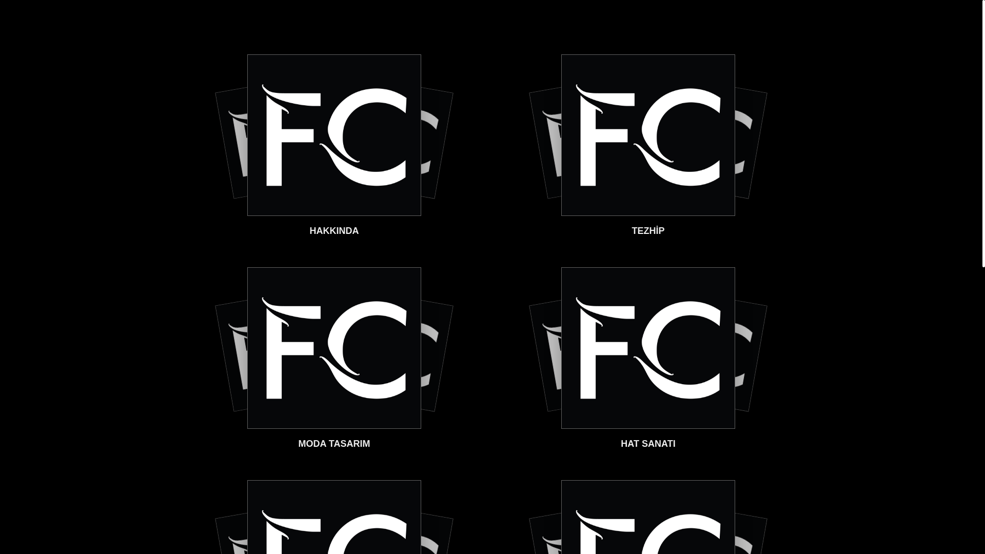 website screenshot of https://feyzacoban.com/