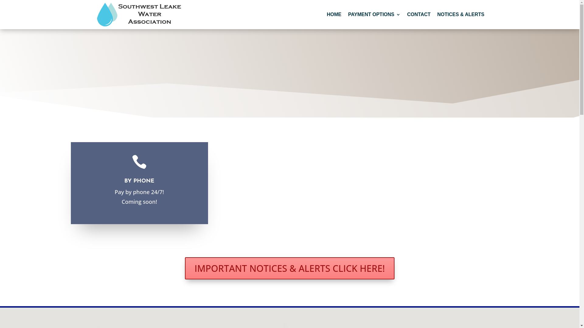 website screenshot of https://southwestleakewater.com/