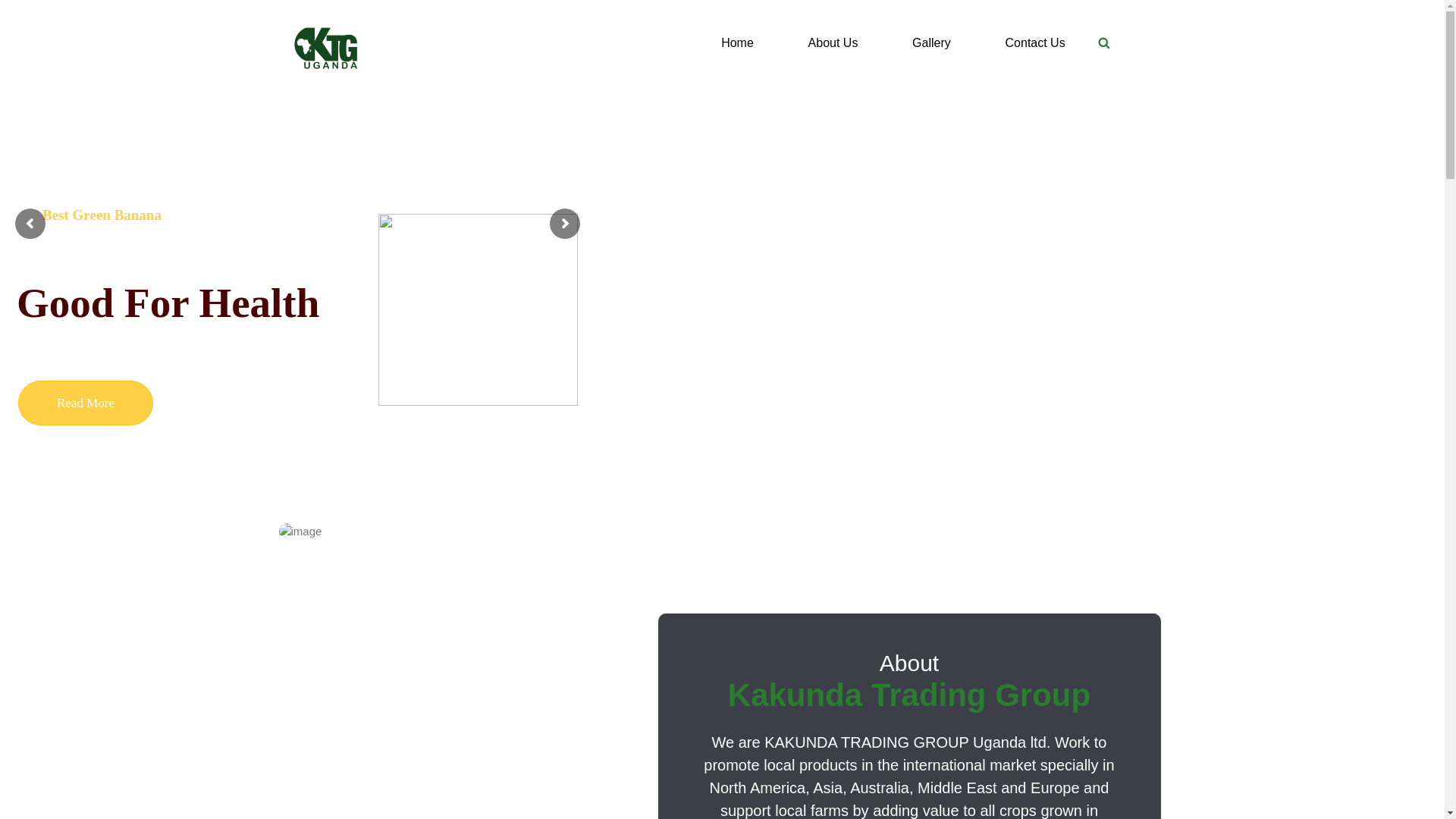 website screenshot of https://kakundatradinggroup.com/