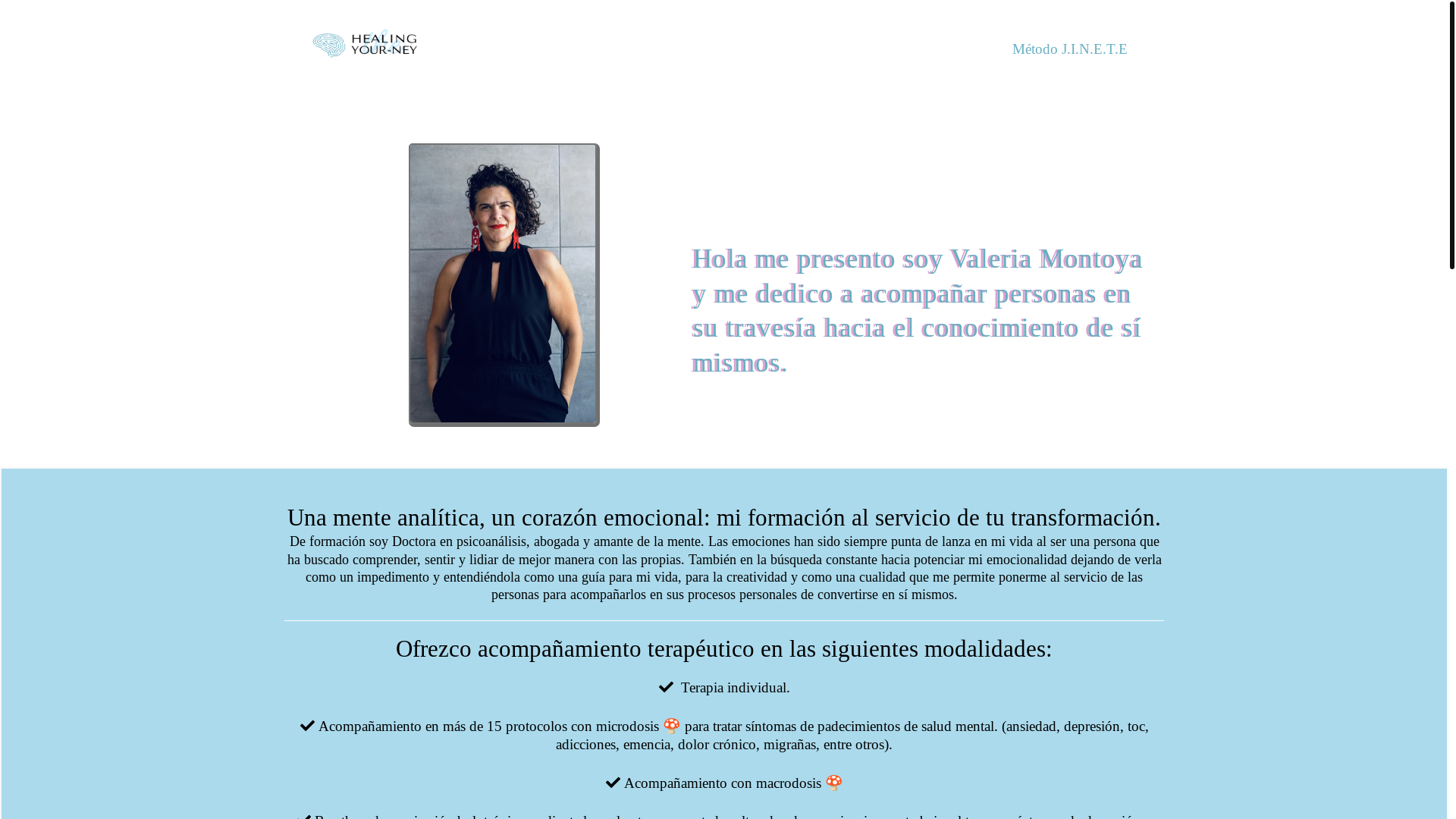website screenshot of https://thehealingyourney.com/