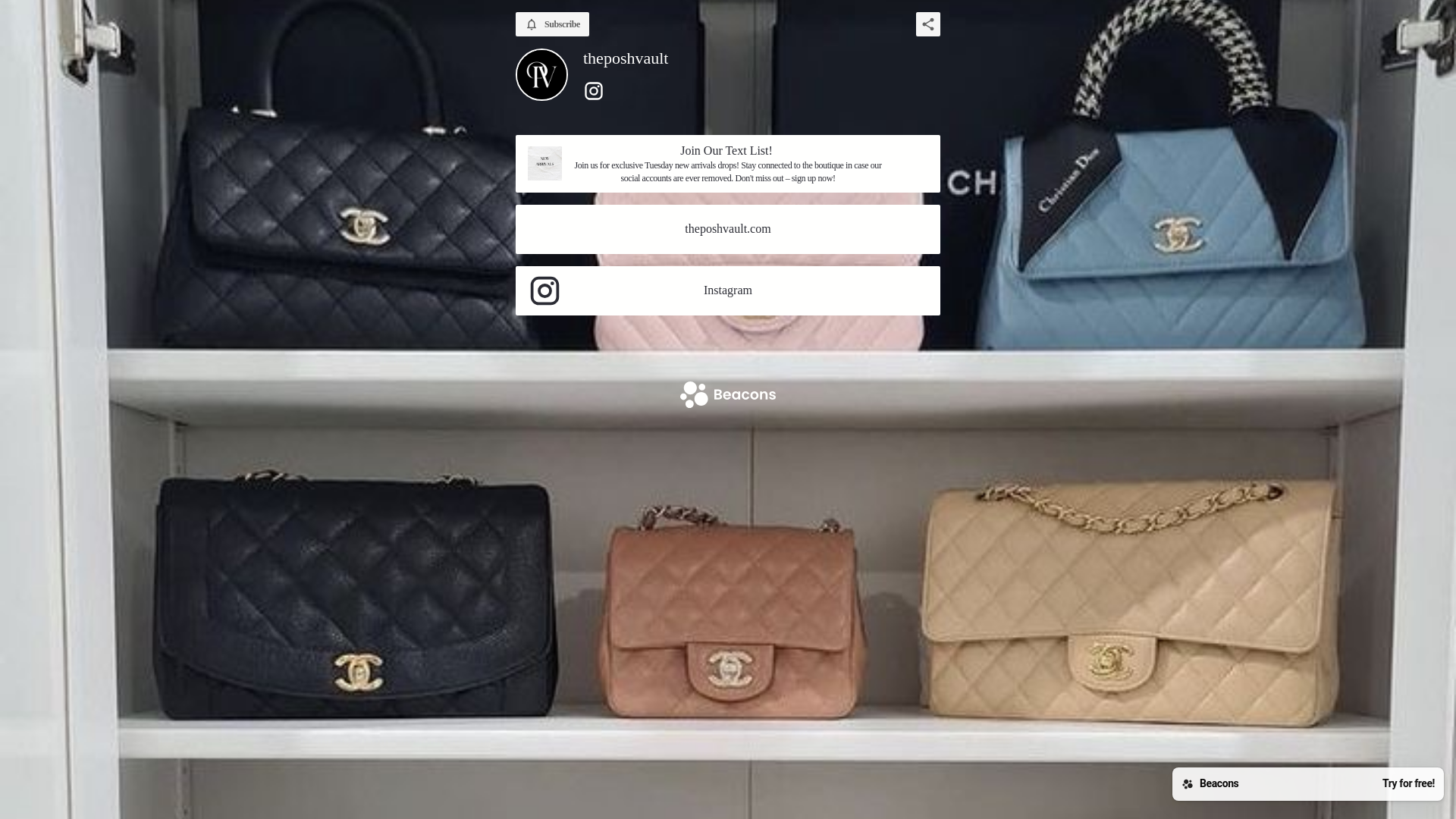 website screenshot of https://theposhvault.store/