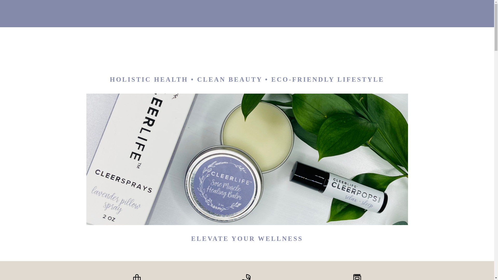 website screenshot of https://cleercoachingwithlisa.com/