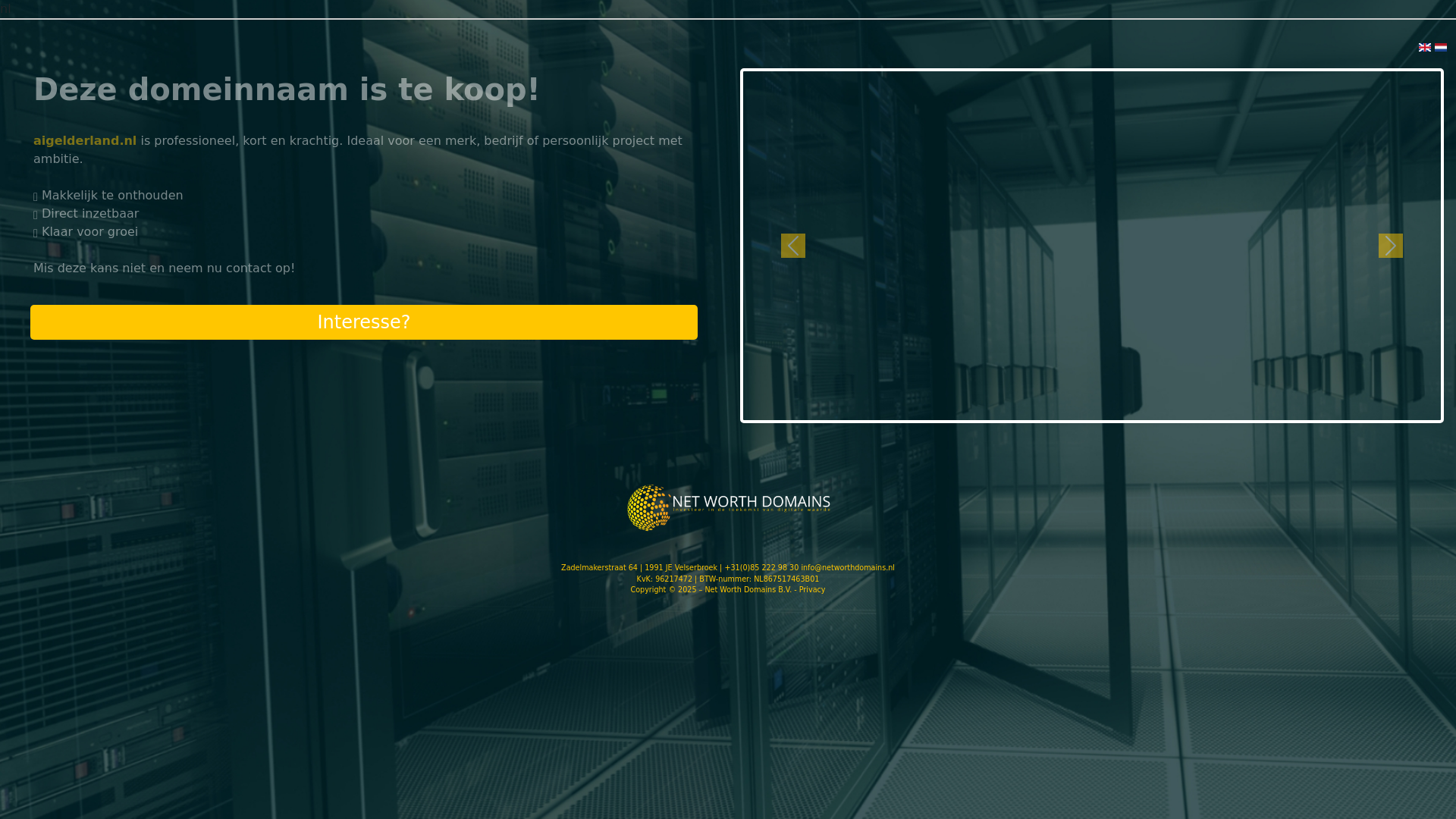 website screenshot of https://aigelderland.nl/