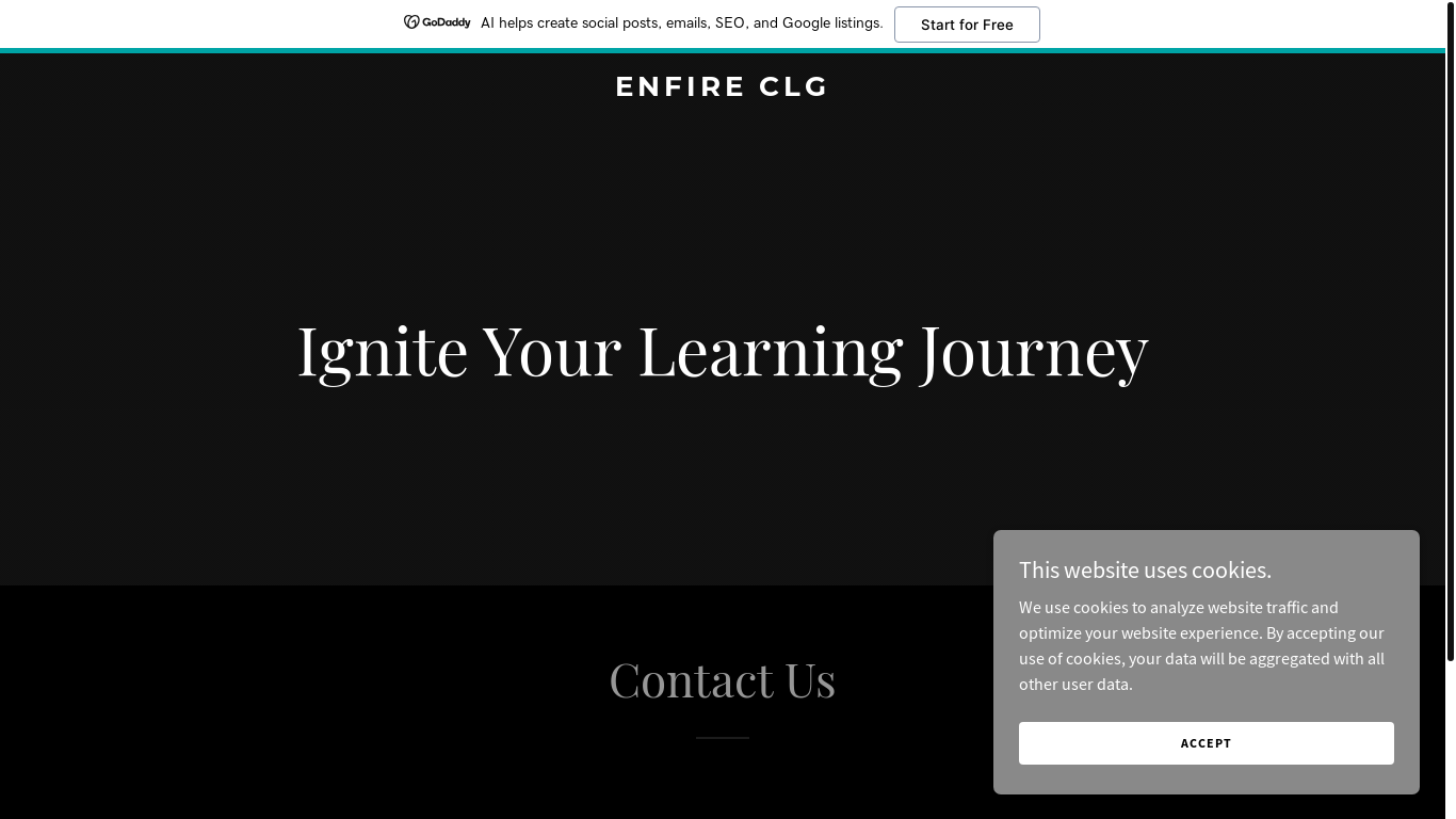 website screenshot of https://enfireclg.shop/