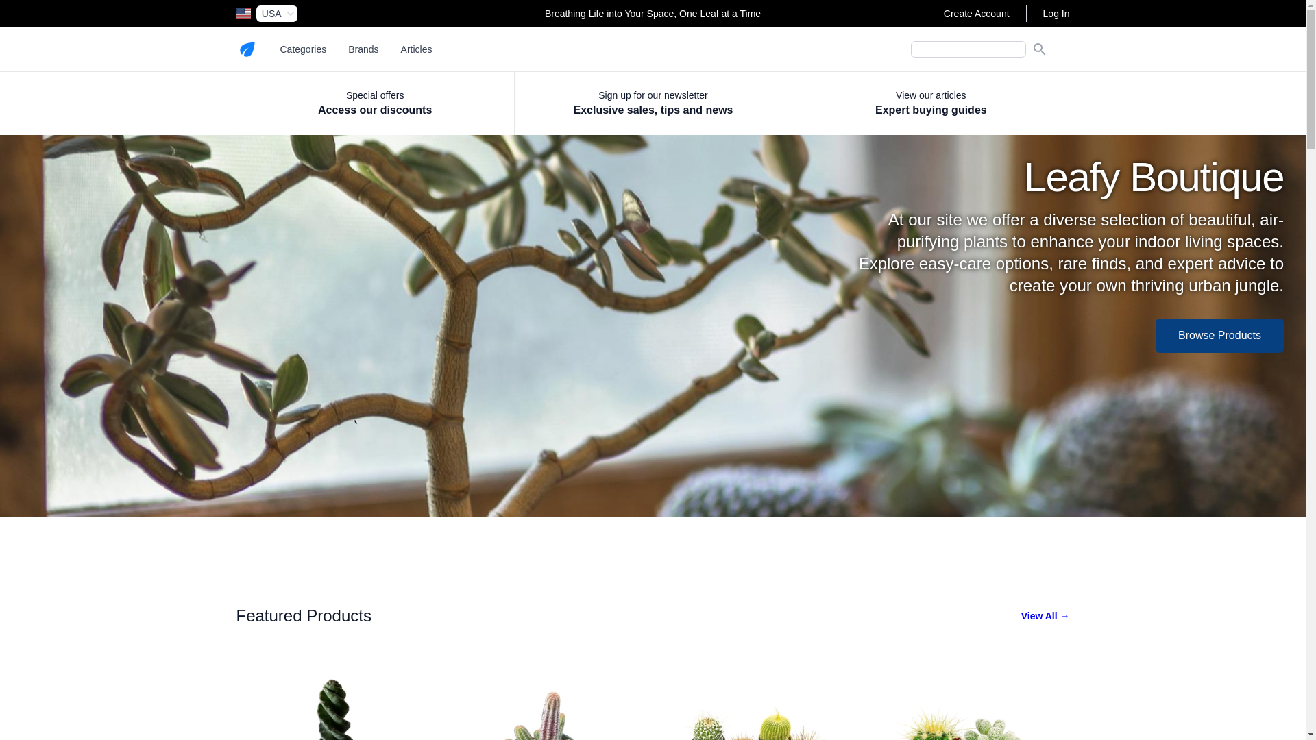 website screenshot of https://little-plant-palz.com/