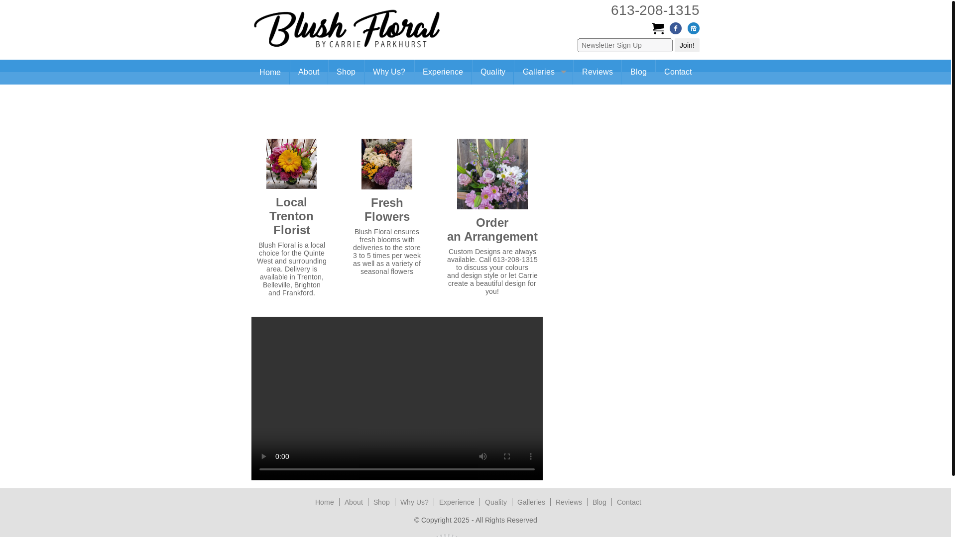 website screenshot of https://anna-franku.com/