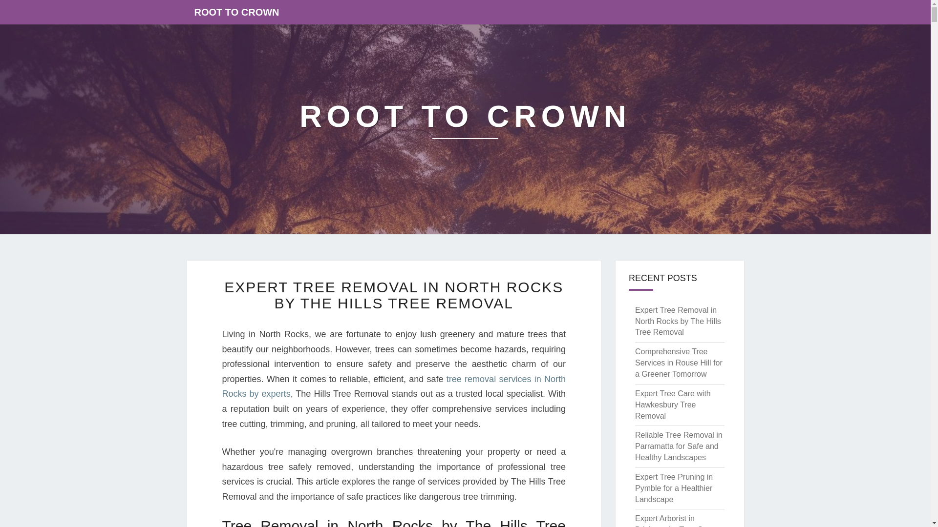 website screenshot of https://ngatirehuangatiwaikiaotea-co-nz.pages.dev/