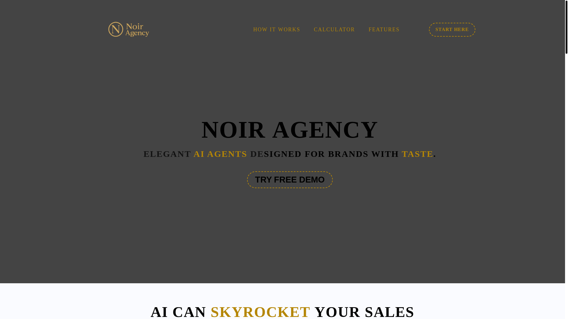 website screenshot of https://noiragency.tech/