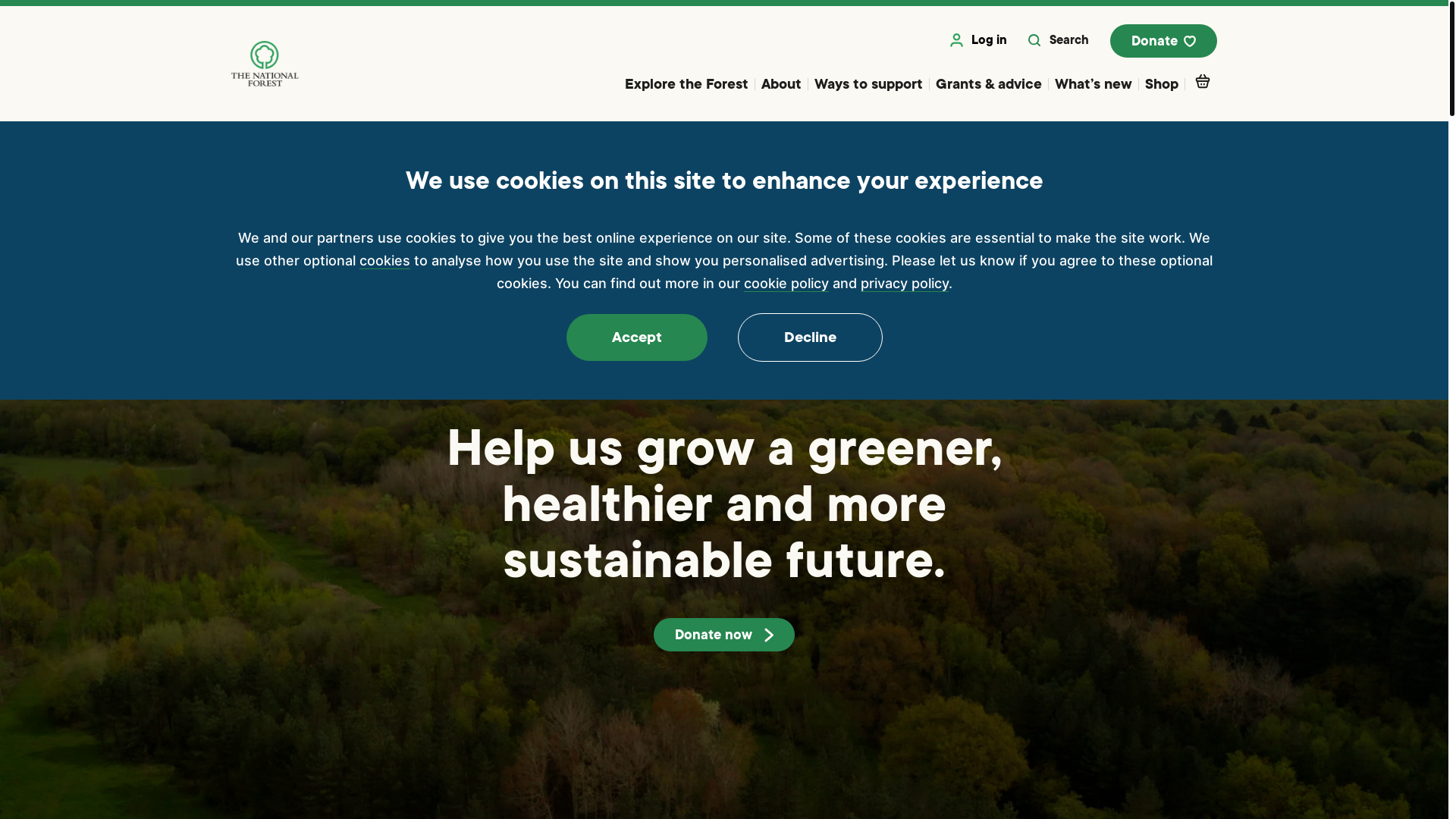 website screenshot of https://nationalforest.org/