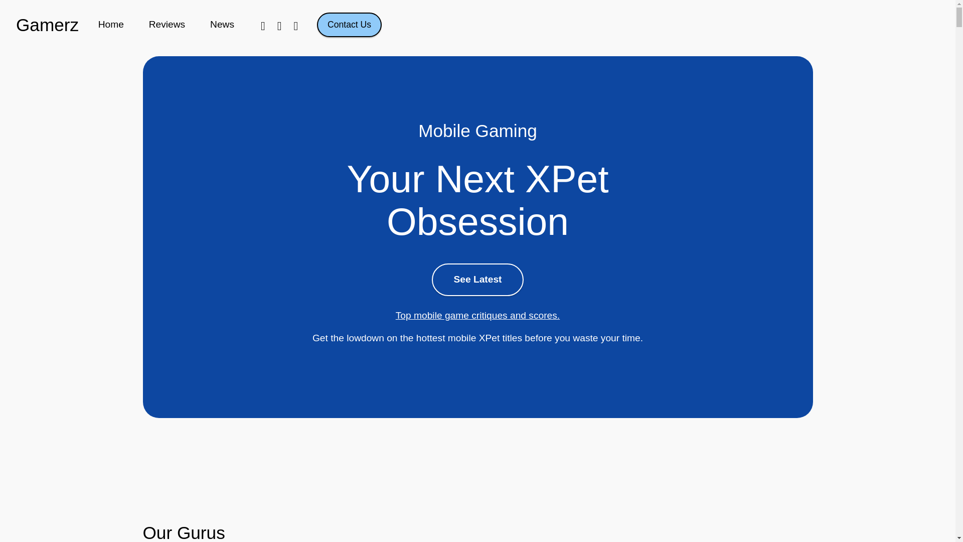 website screenshot of https://xpetdeinotibur.pro/