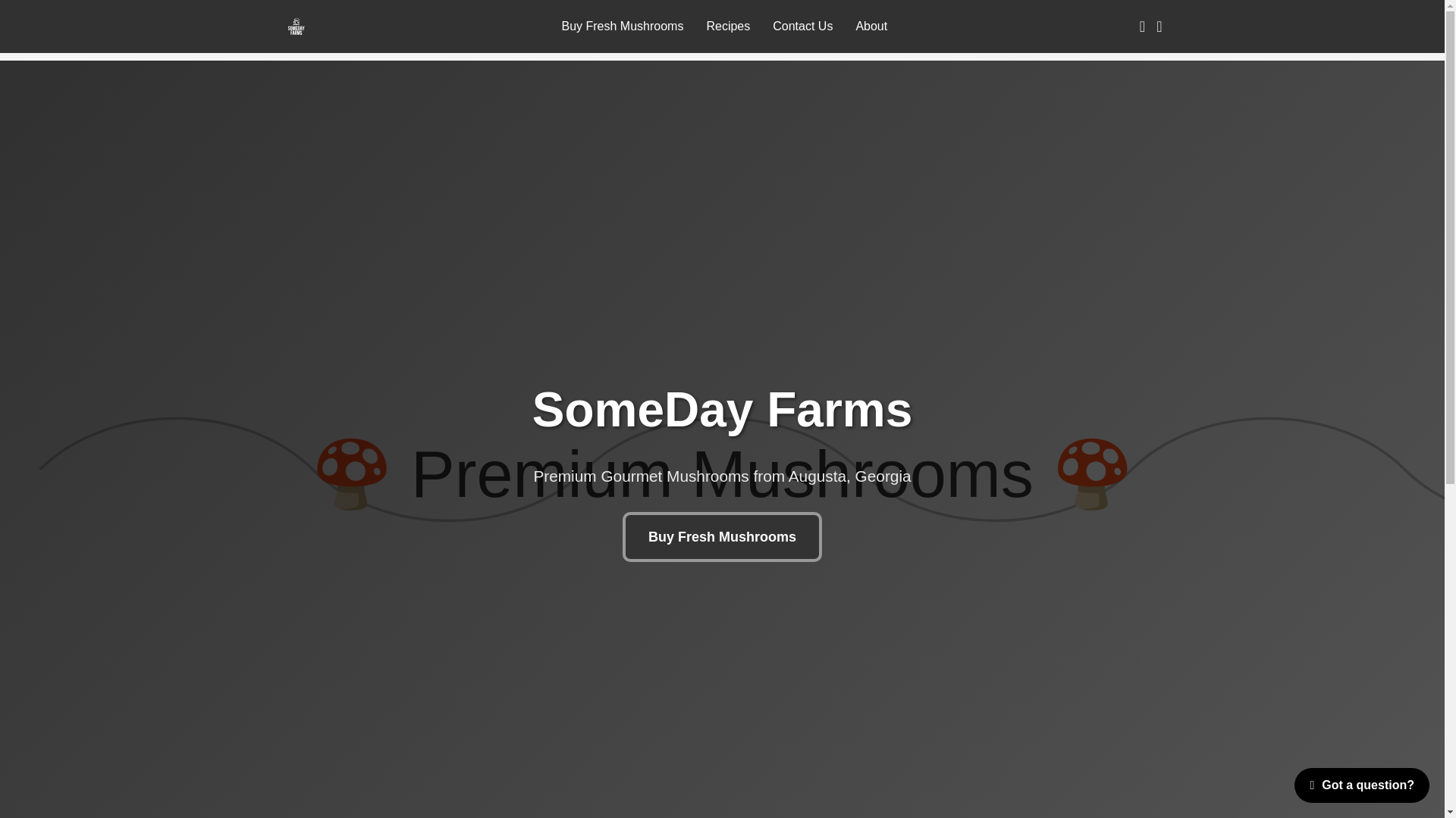 website screenshot of https://new-website-5lw.pages.dev/