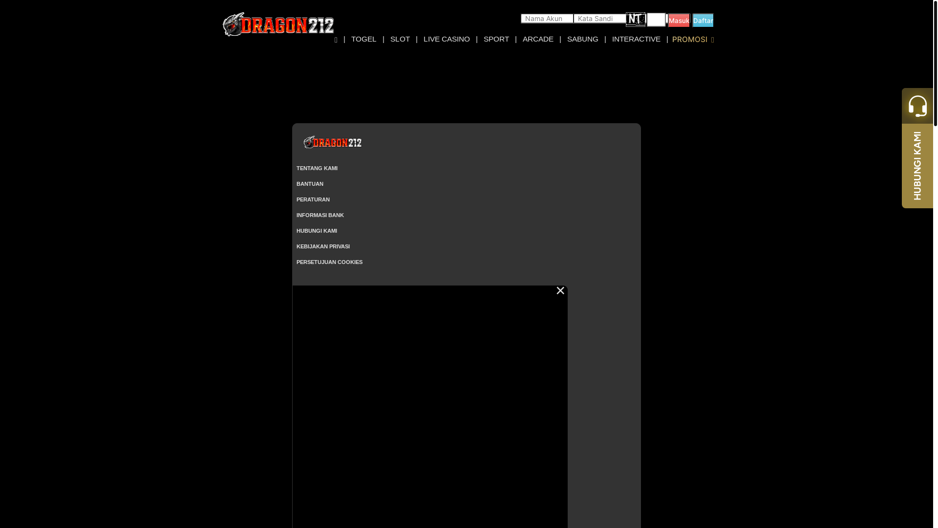 website screenshot of https://dragon212apex.com/