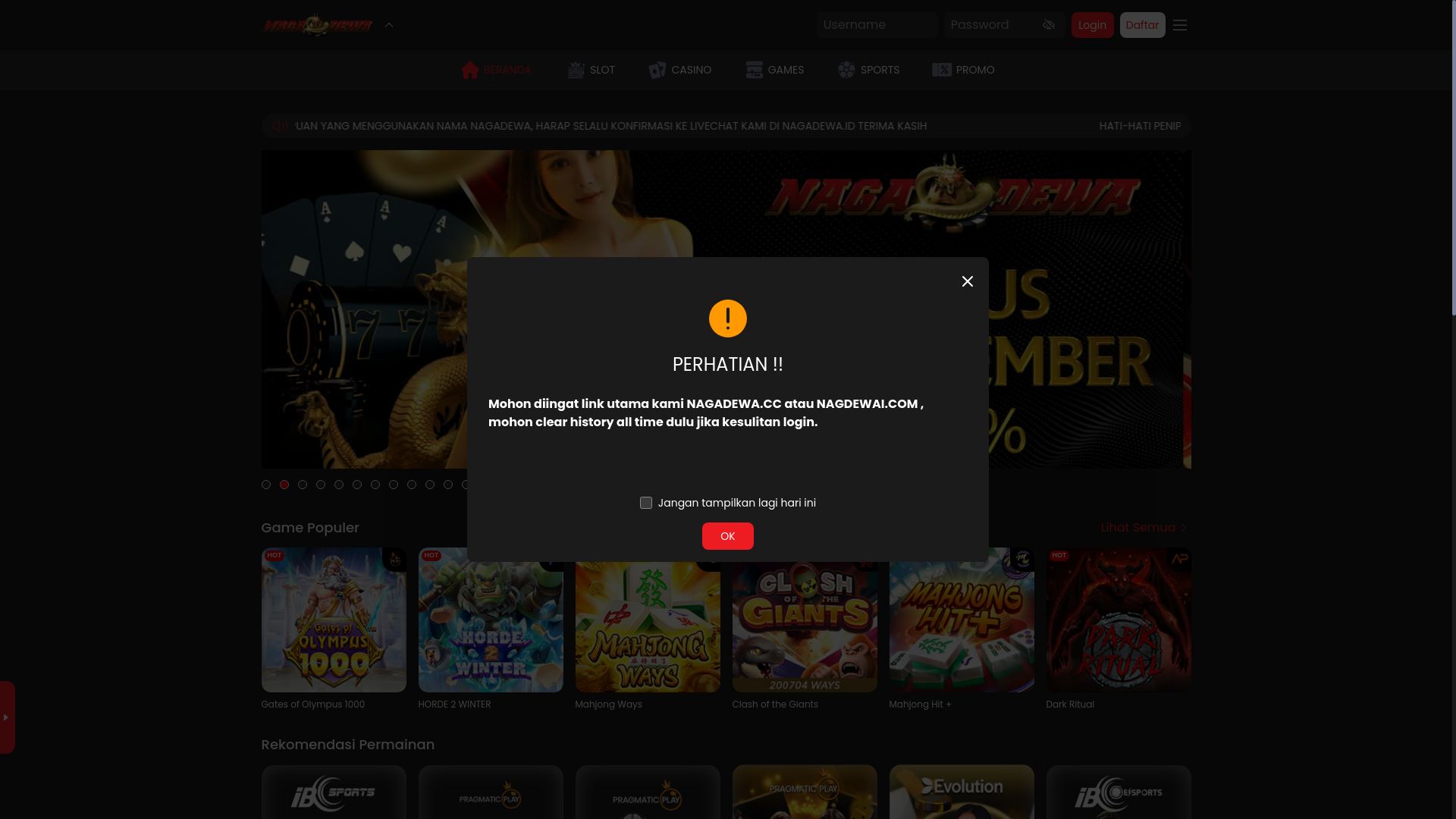website screenshot of https://nagadewabersatu.xyz/