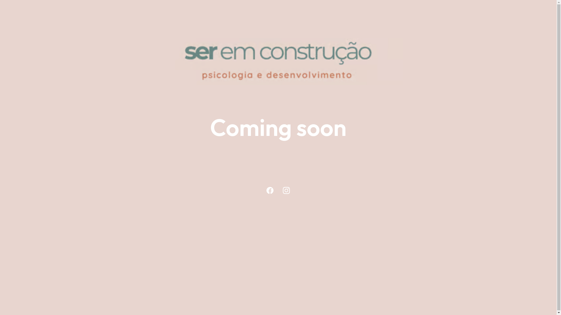 website screenshot of https://seremconstrucao.pt/