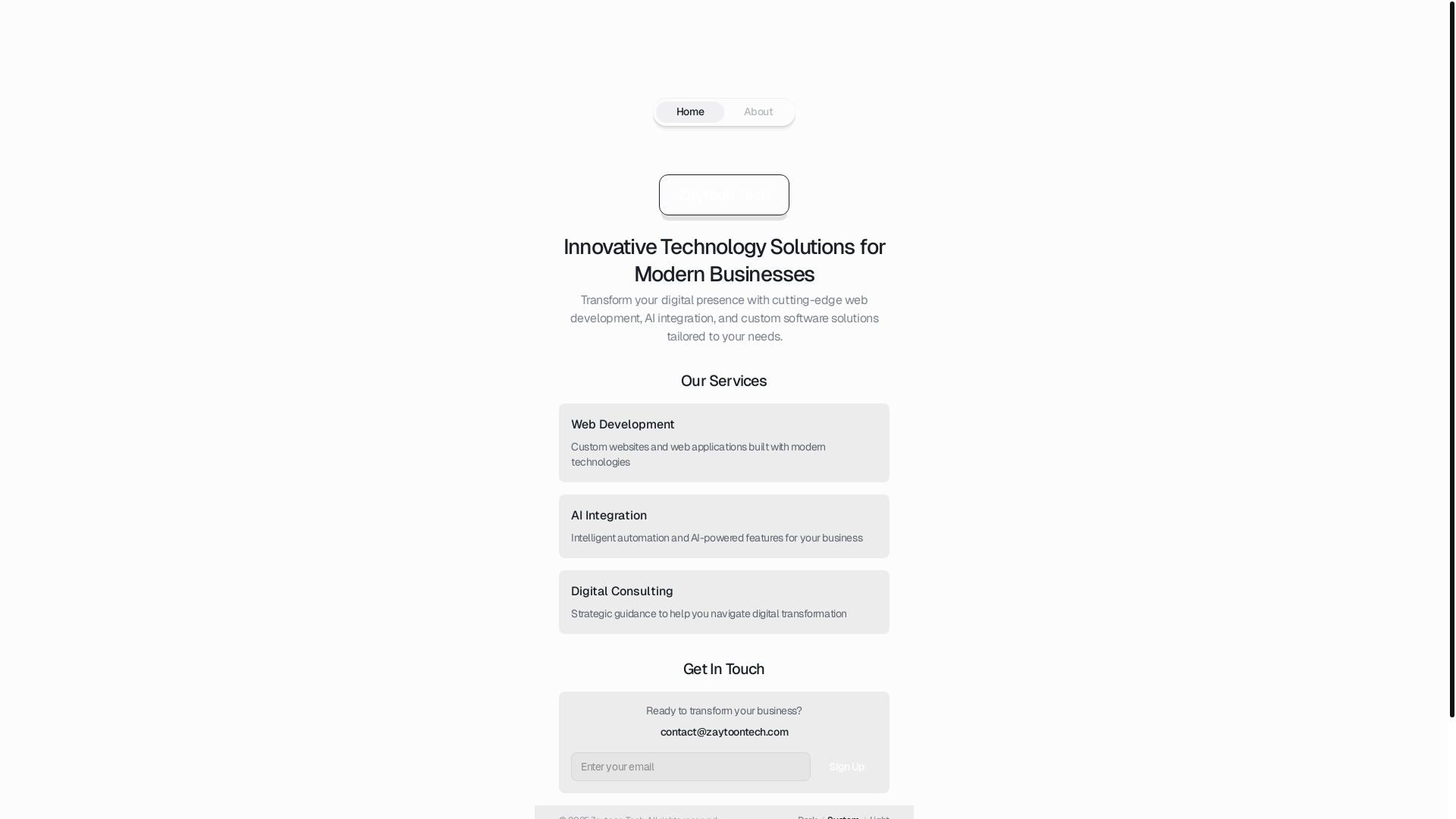 website screenshot of https://zaytoontech.com/