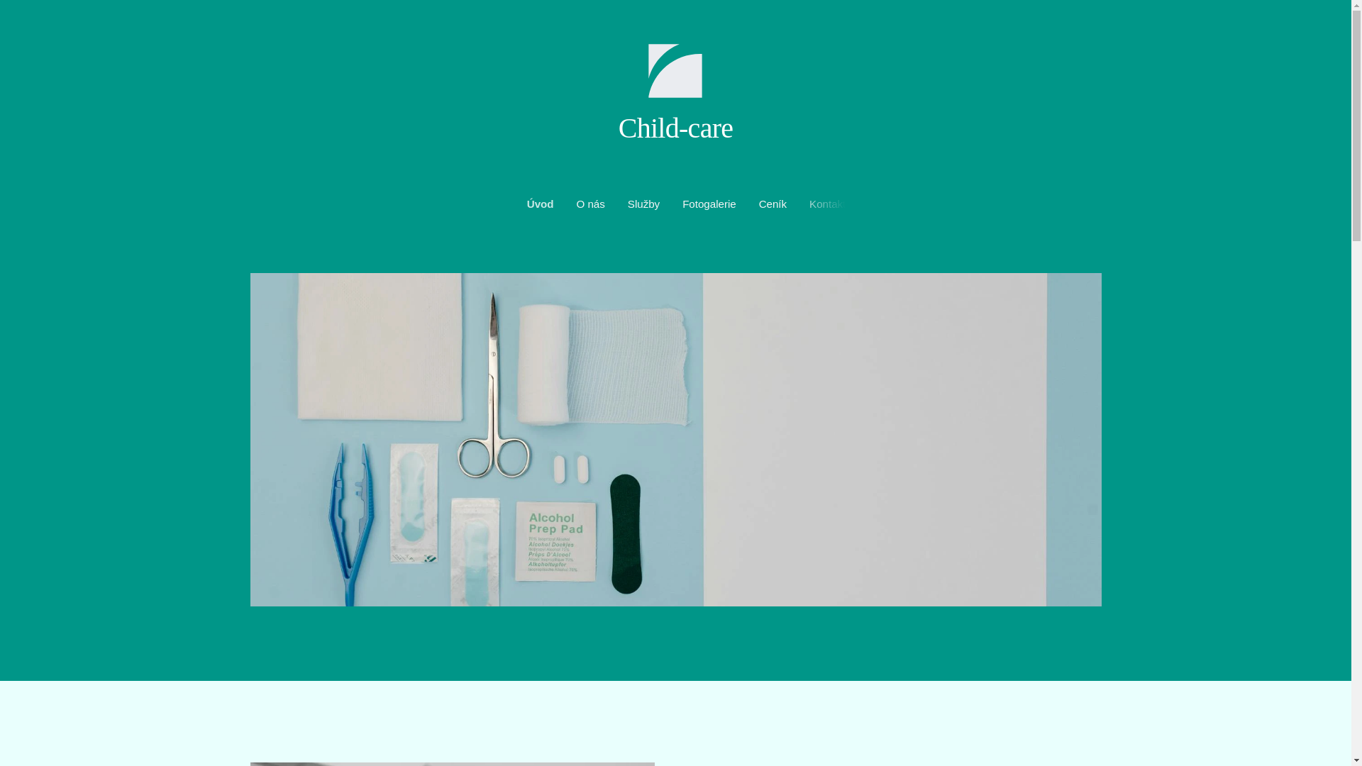 website screenshot of https://child-care.cz/