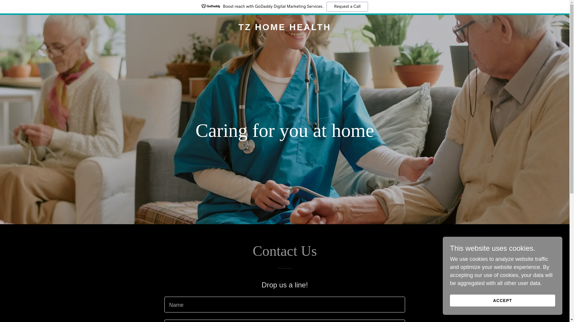 website screenshot of https://tzhomehealth.org/