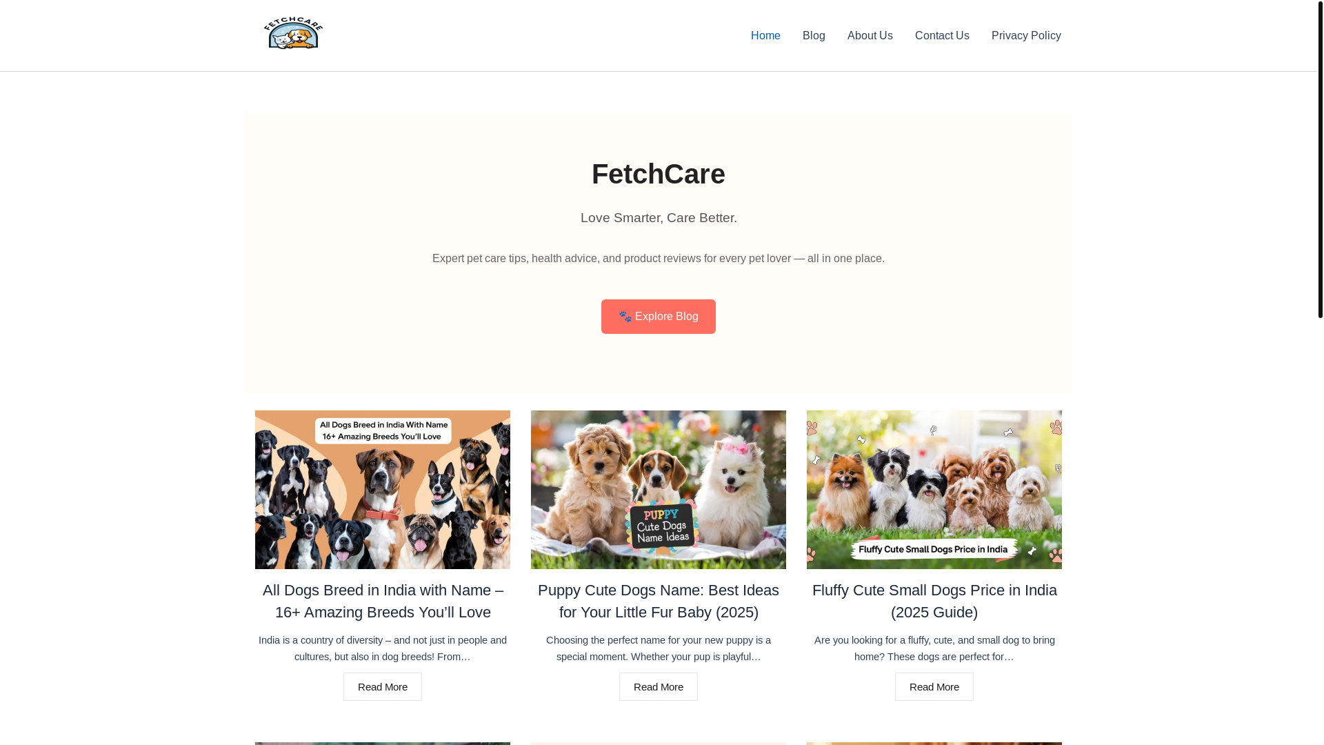 website screenshot of https://fetchcare.in/