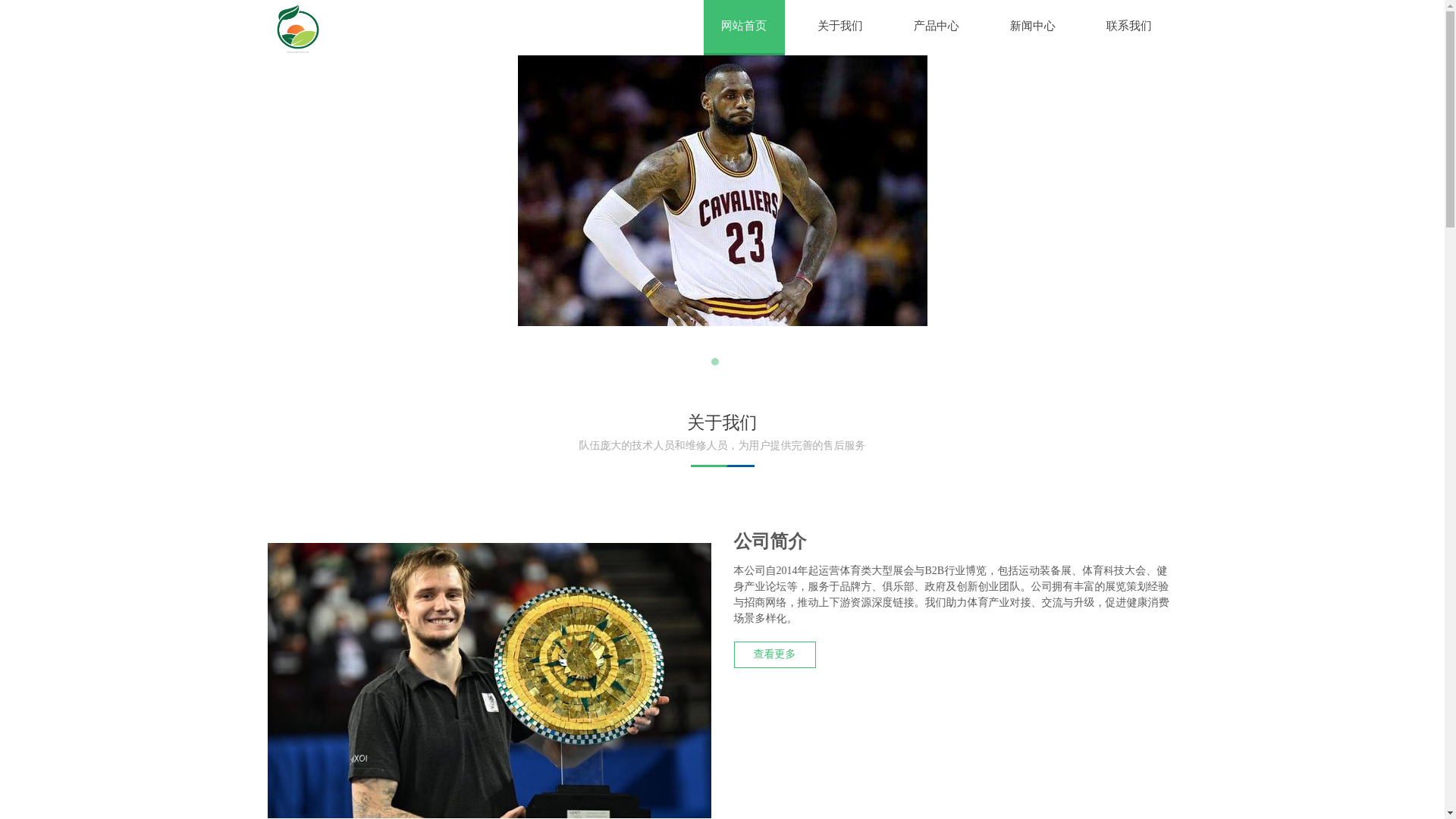 website screenshot of https://zhcn-official-28loops.com/