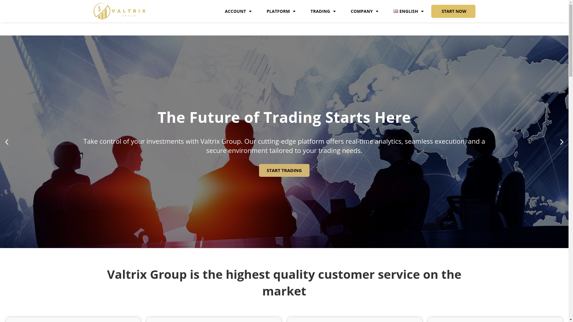 website screenshot of http://valtrixg.com