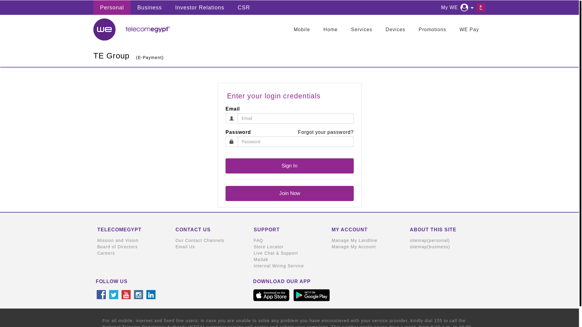 website screenshot of https://billing.te.eg/en-us/login