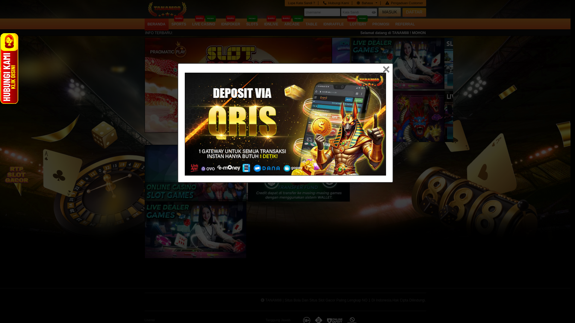 website screenshot of https://wifinegara.site/