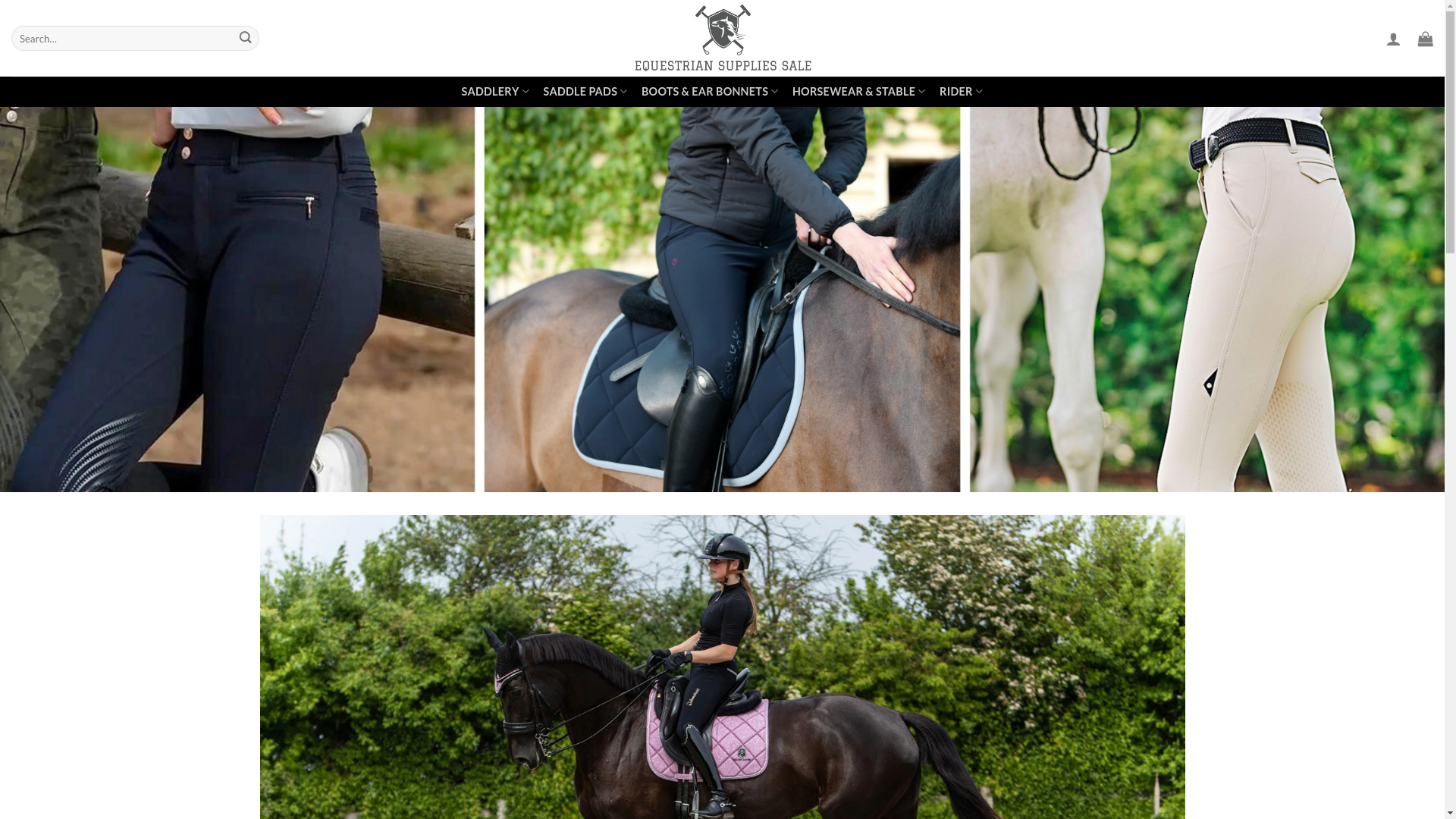 website screenshot of http://saddlerysaleus.com/