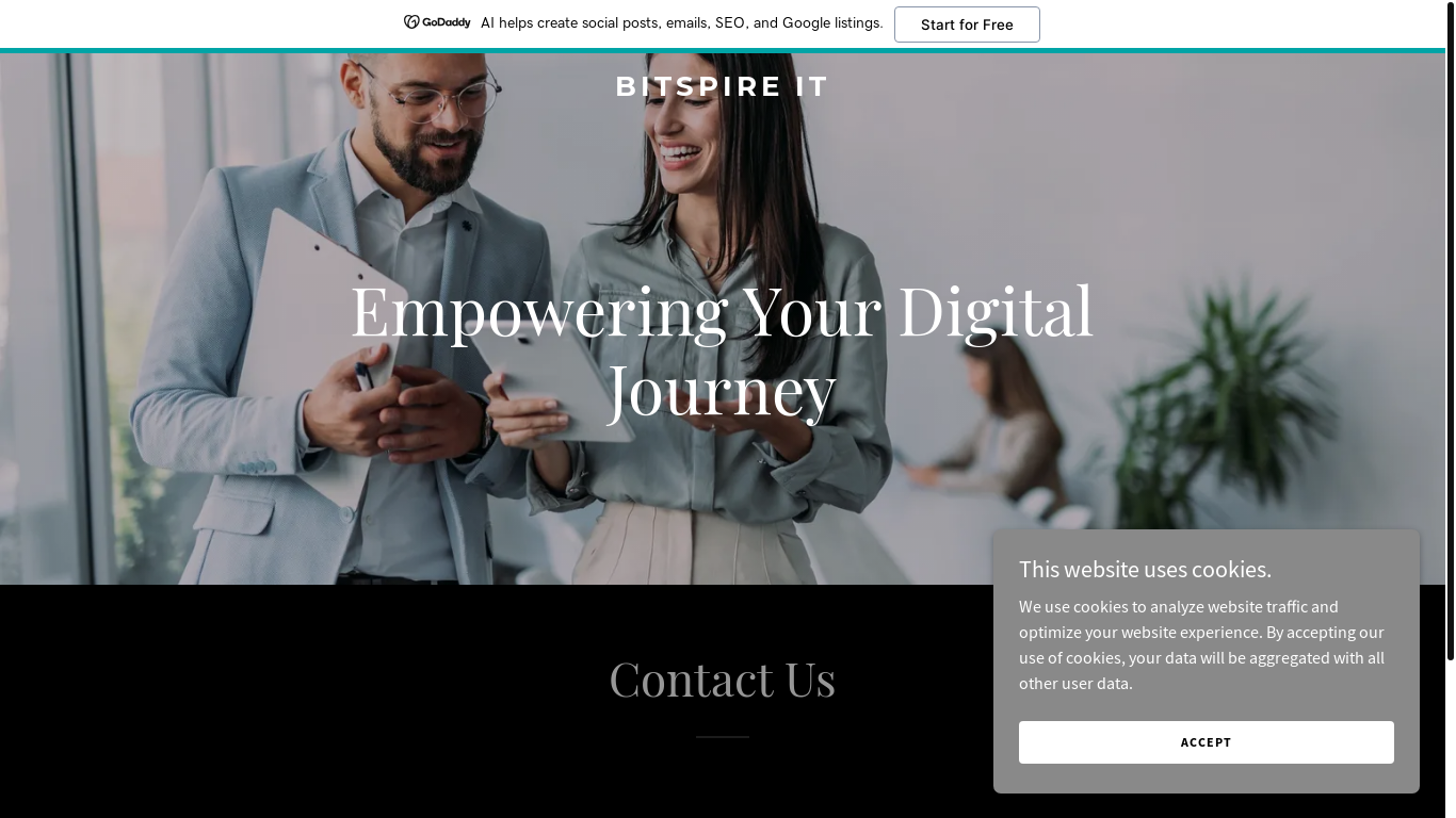 website screenshot of https://bitspireit.com/