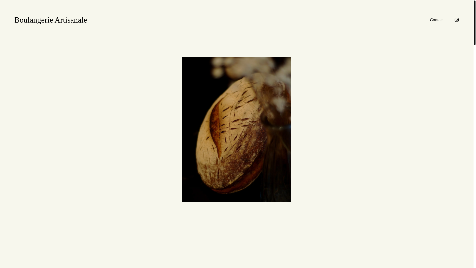 website screenshot of https://petiteileparis.fr/