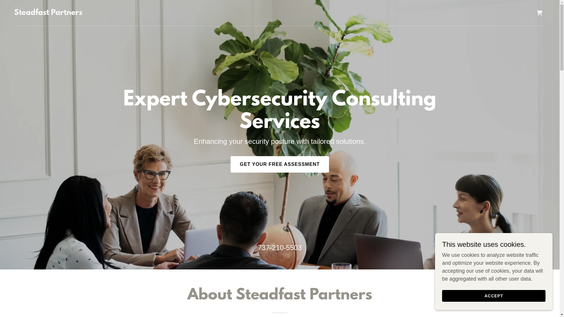website screenshot of https://steadfastpartners.co/
