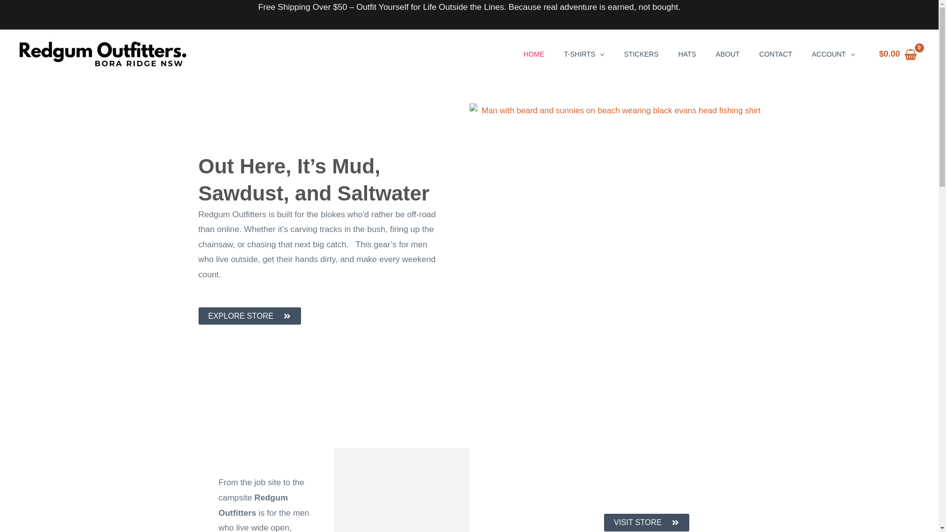 website screenshot of https://kindearthstudios.com.au/