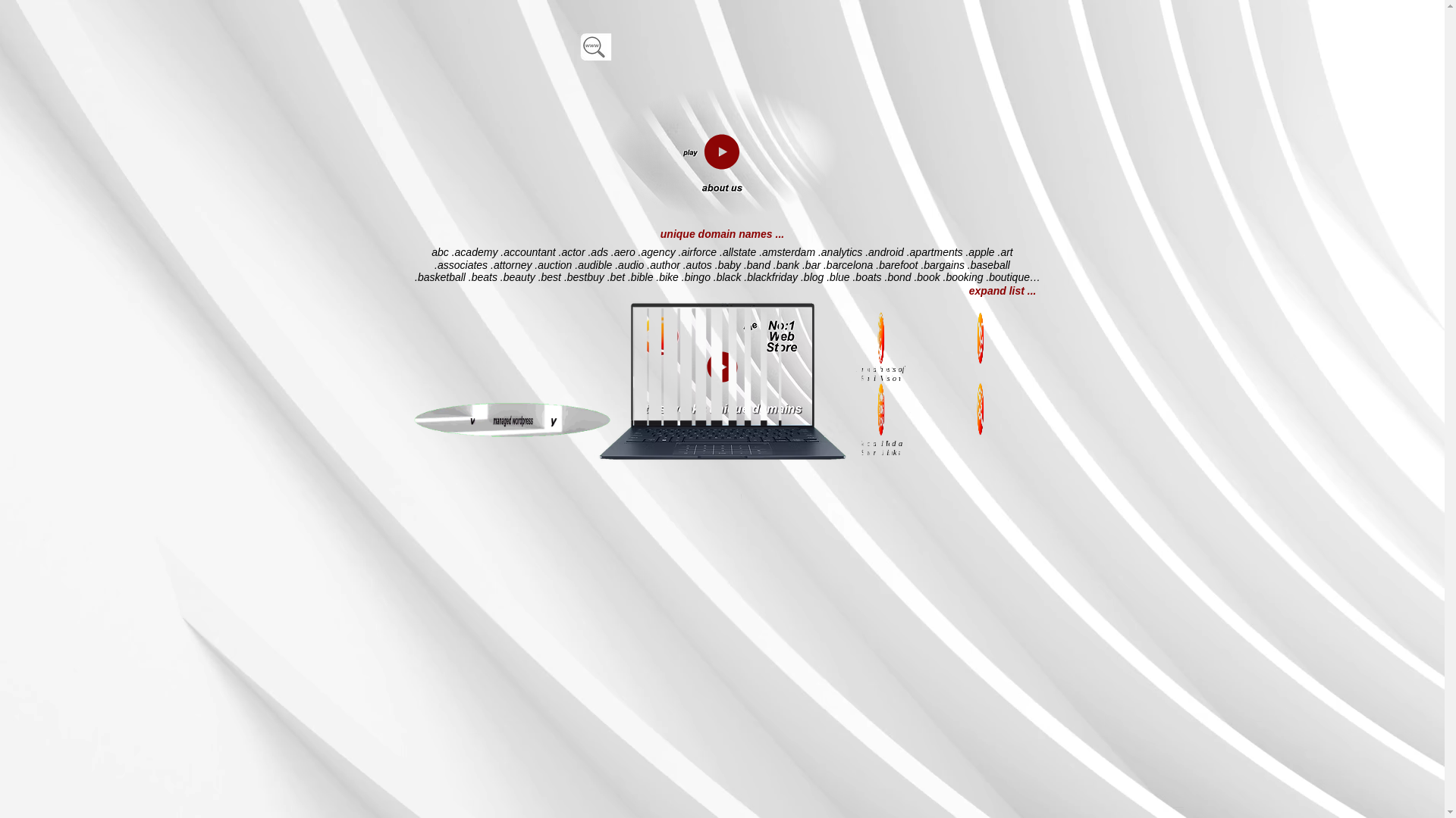 website screenshot of https://theno1web.store/