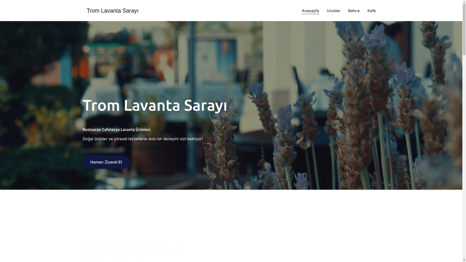 website screenshot of https://xn--tromlavantasaray-pqc.online/
