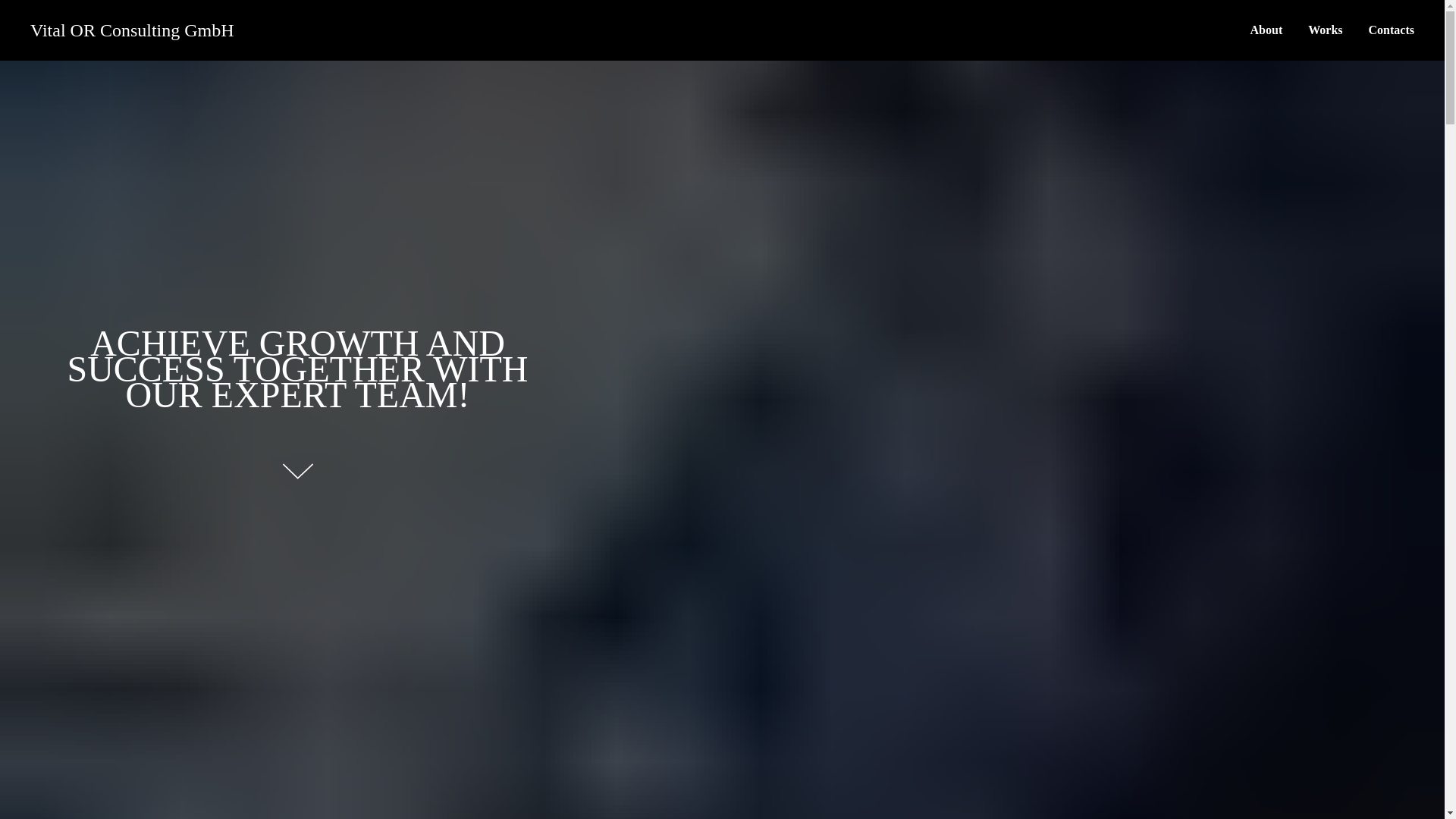 website screenshot of https://vitalorconsultinggmbh.com/