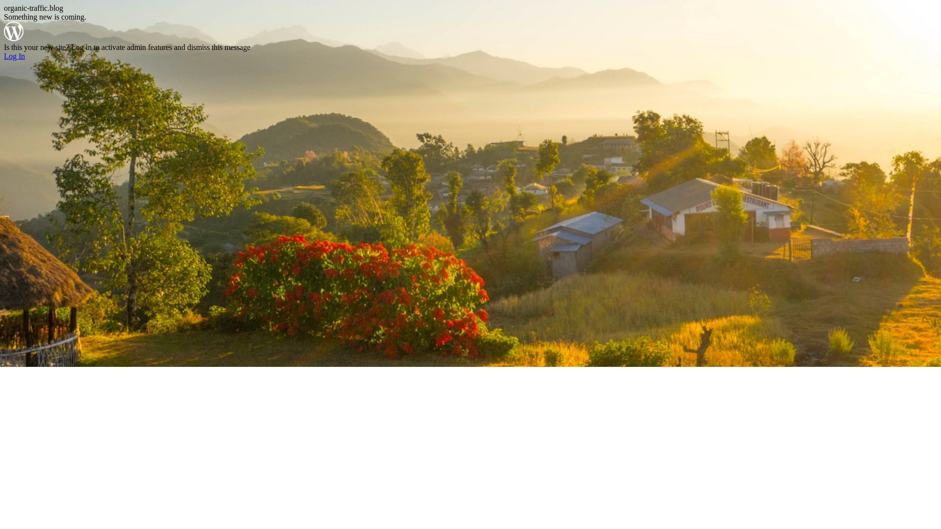 website screenshot of https://organic-traffic.blog/