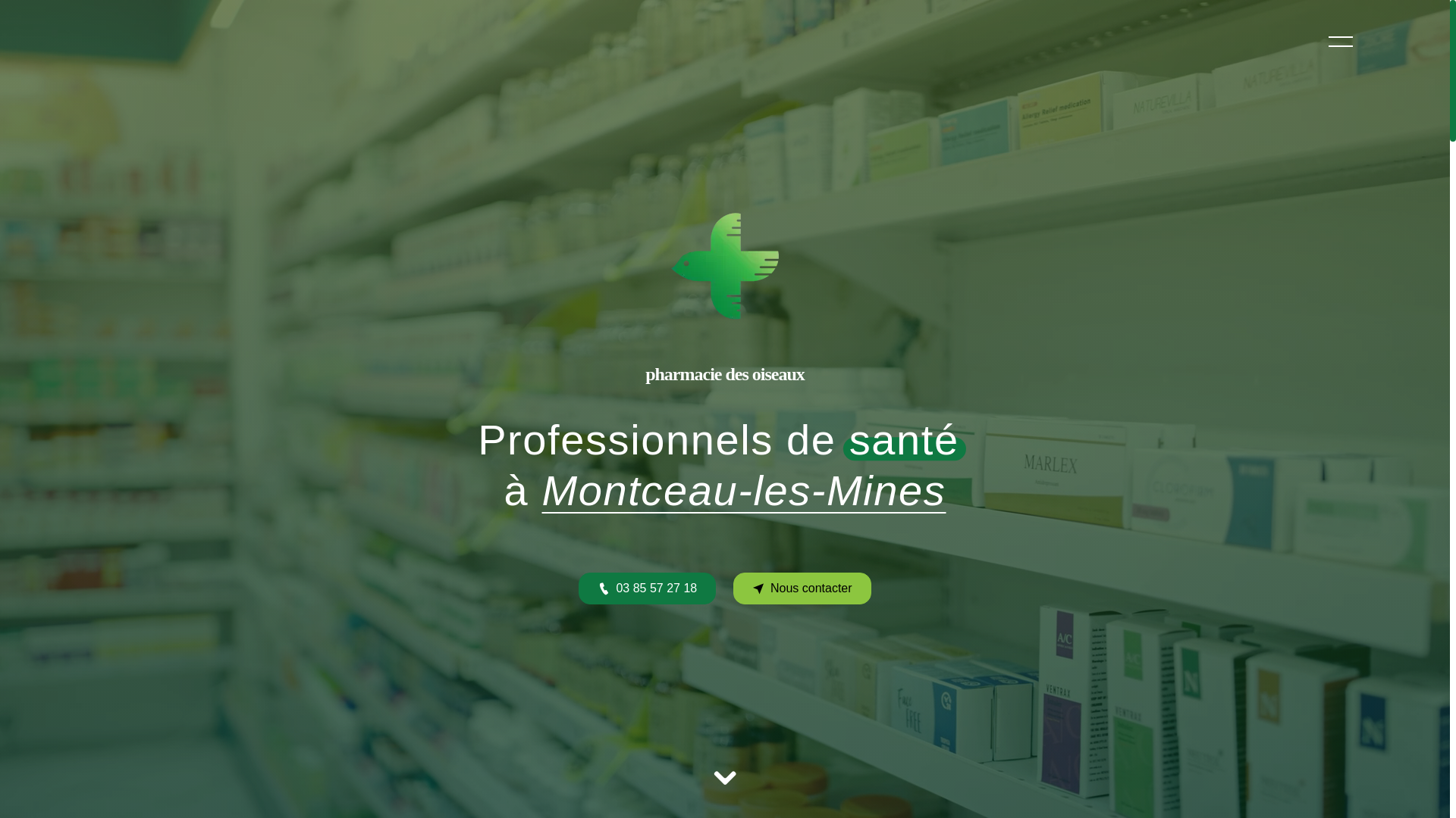 website screenshot of https://pharmaciedesoiseaux-71.fr/