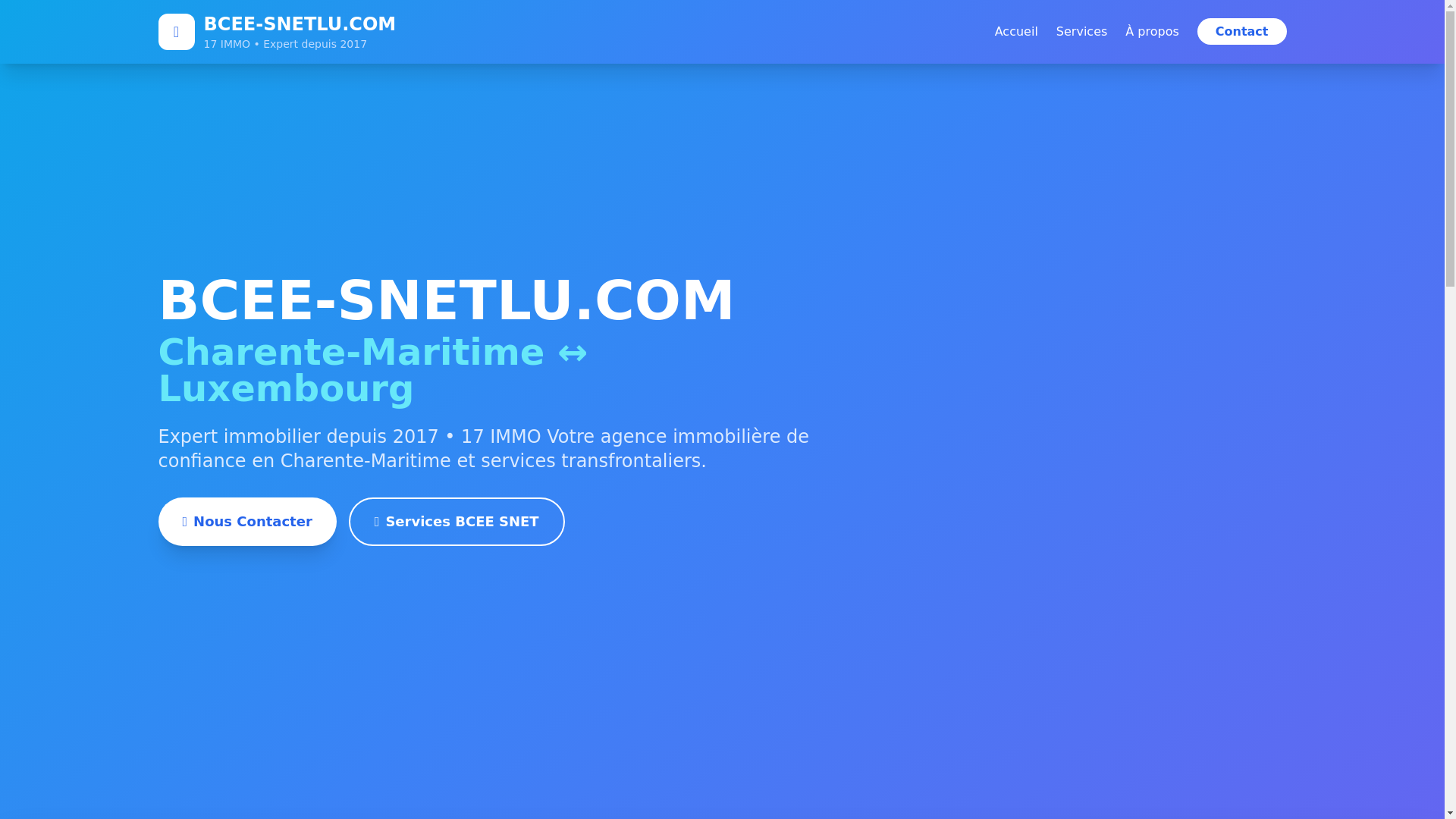 website screenshot of https://bcee-snetlu.com/