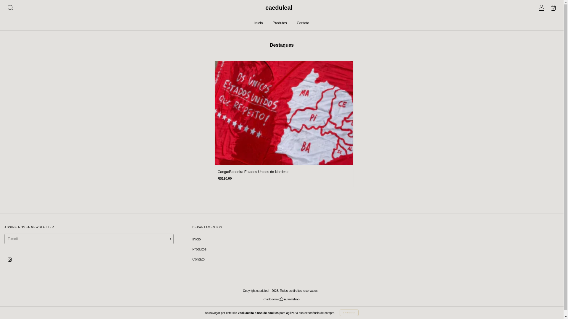 website screenshot of https://caeduleal.com.br/