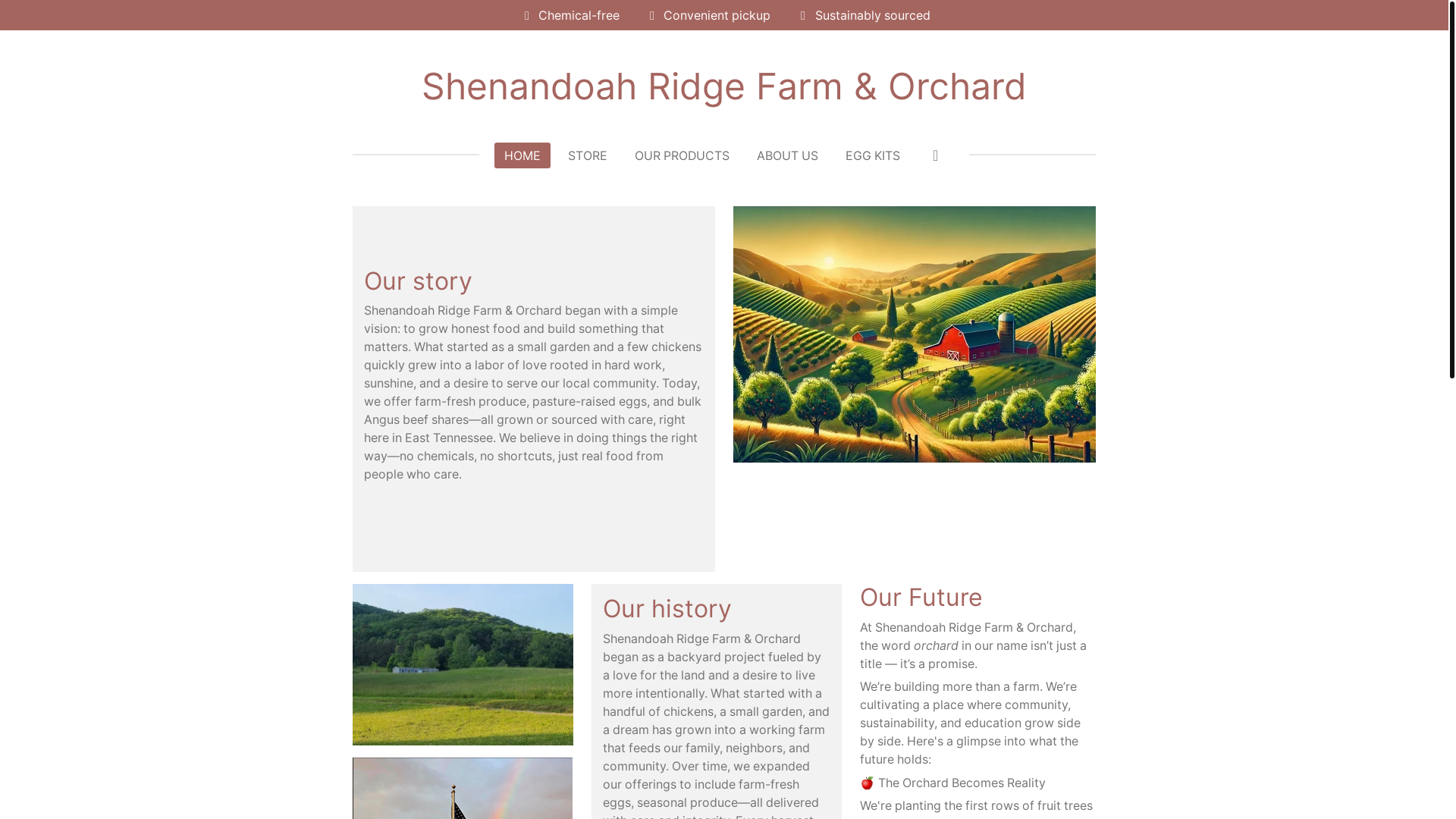 website screenshot of https://shenandoah-ridge.com/