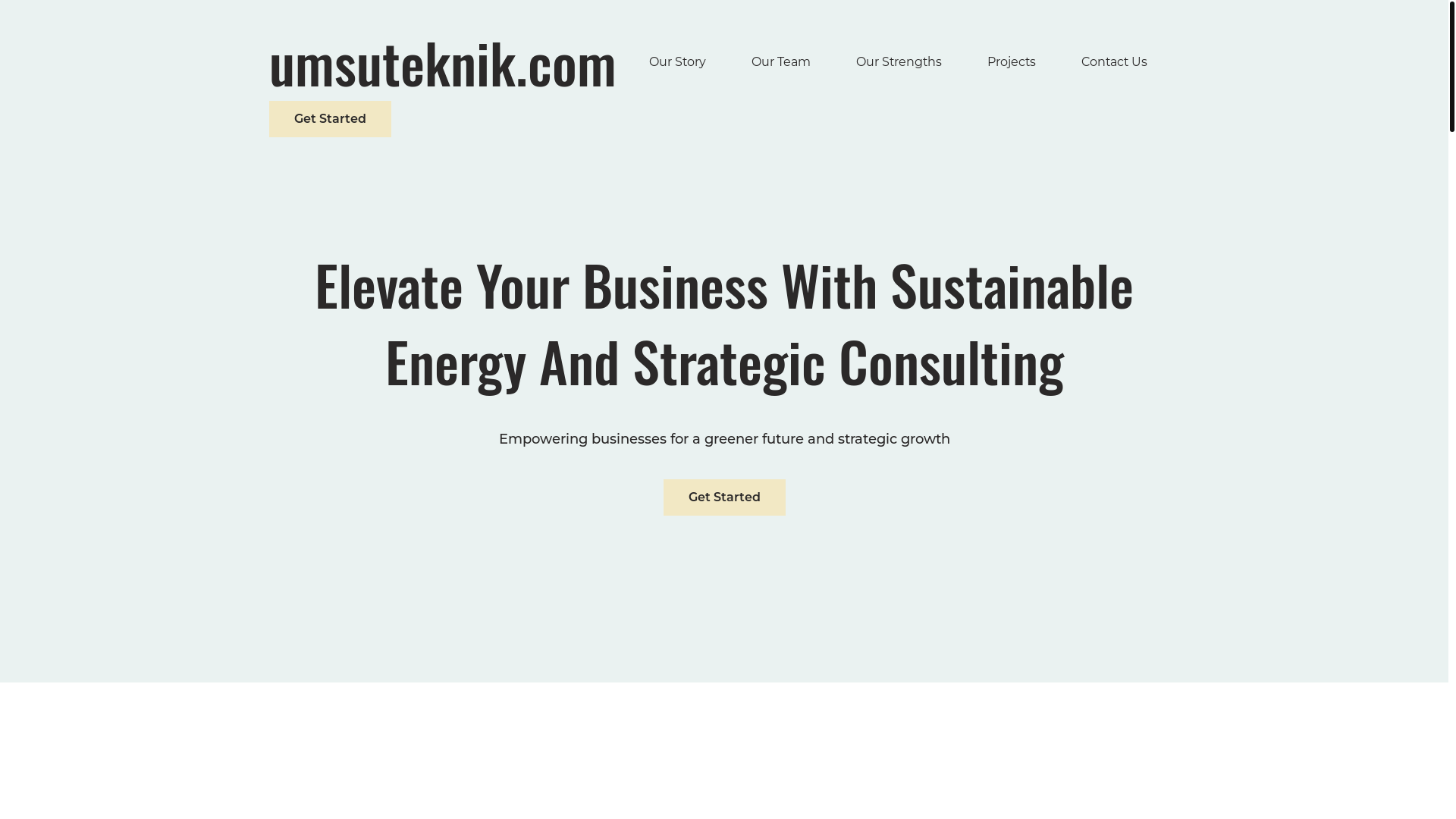 website screenshot of https://umsuteknik.com/